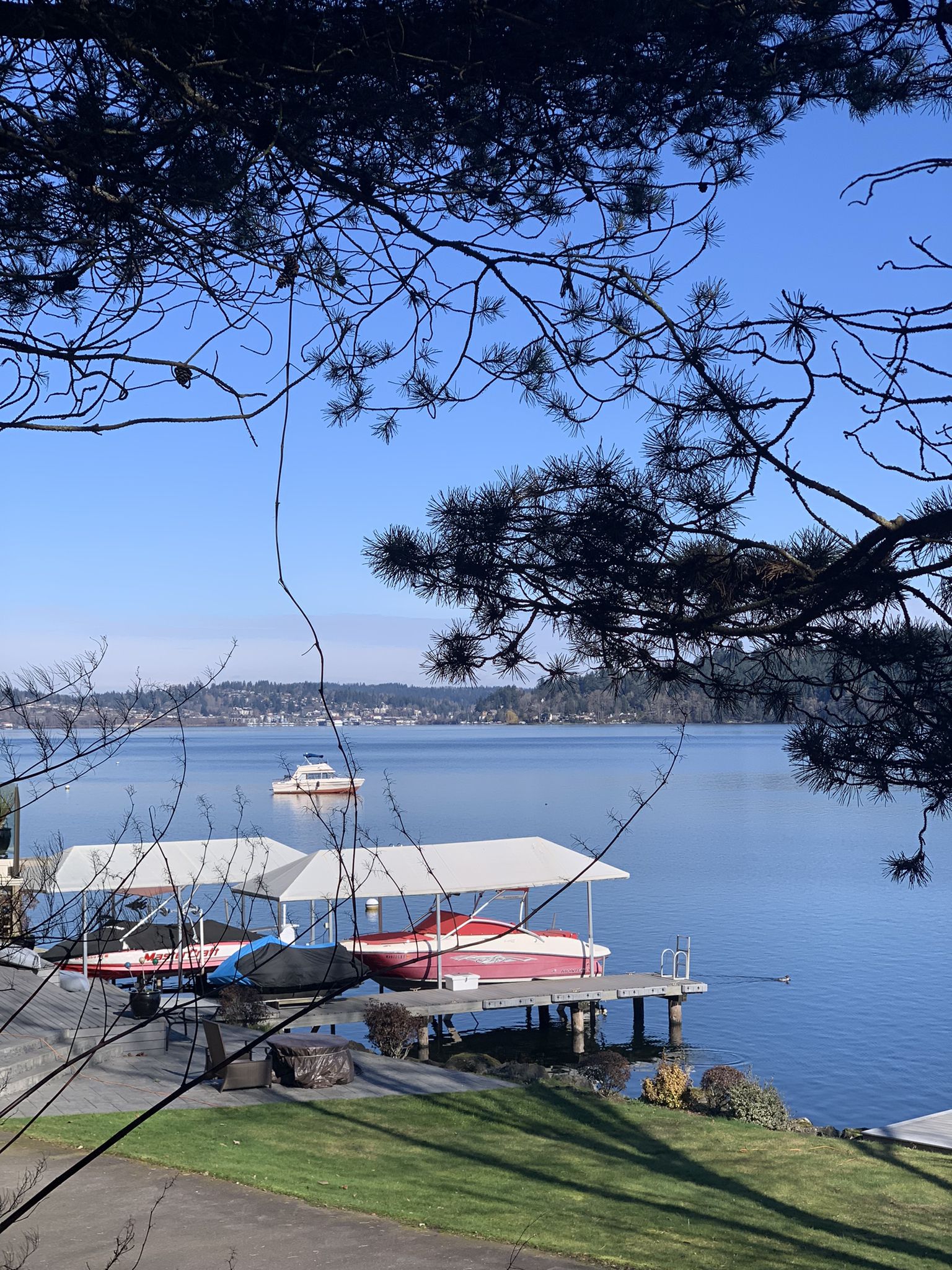 Clear sky over a lake with boats on docks, framed by tree branches. - Burke-Gilman Trail – Burke Gilman Trail loop from University of Washington
