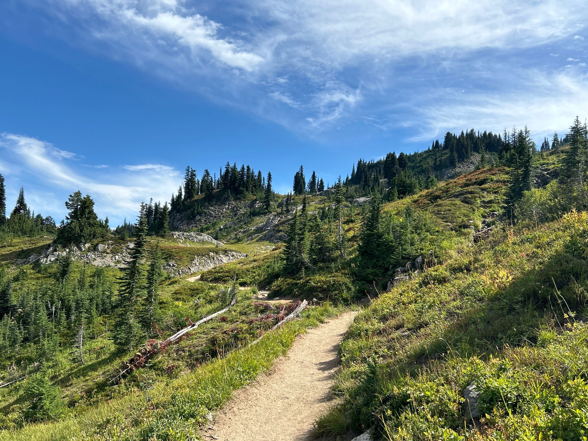 Winding dirt trail through a green, hilly landscape with scattered evergreen trees. - Dewey Lake Trail