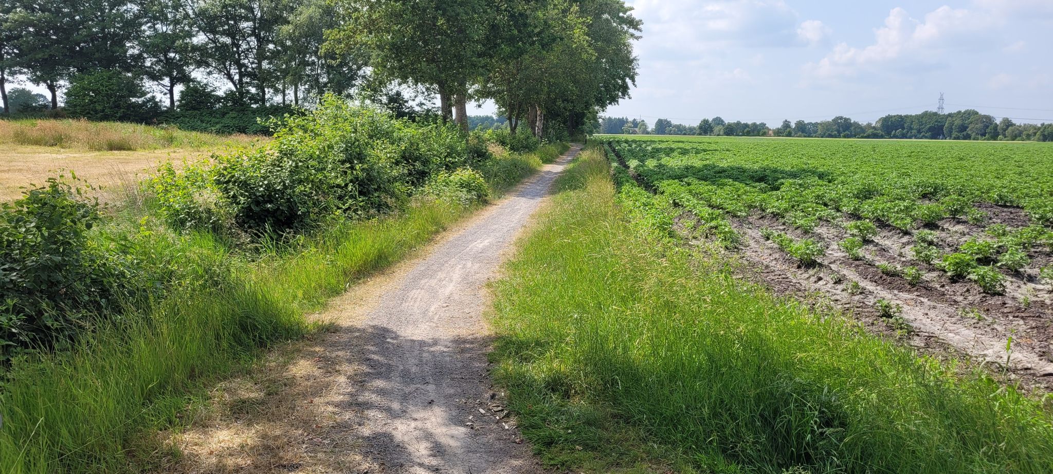 wieder ein schöner Singletrail👌