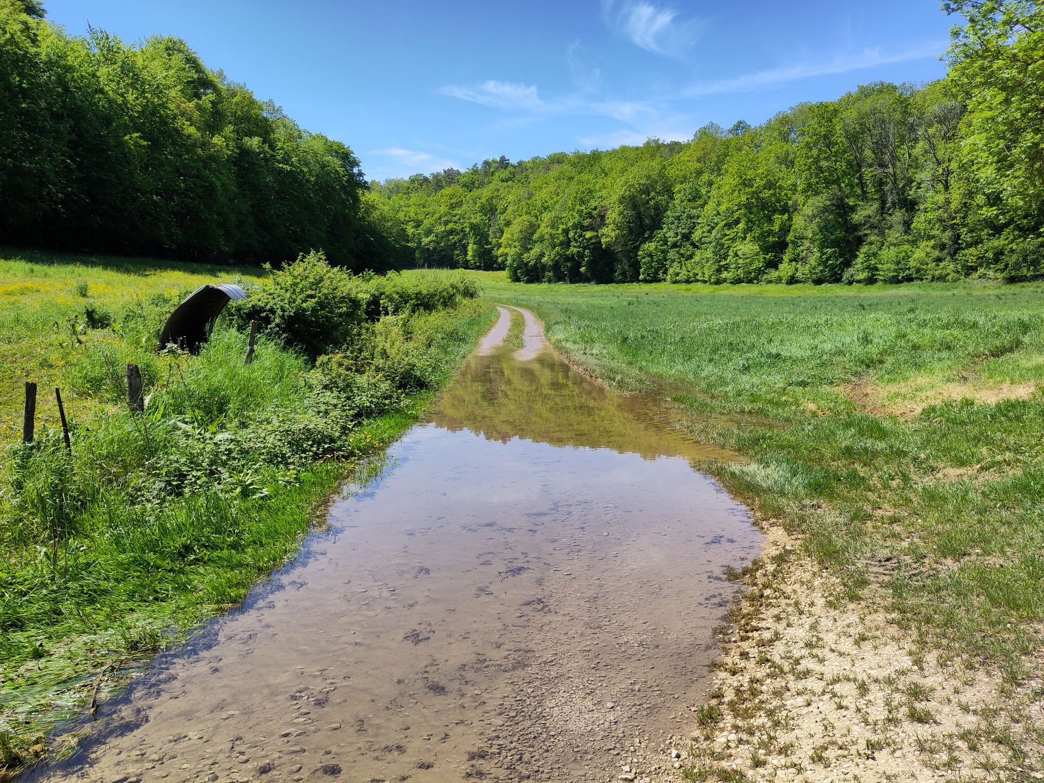 mein Weg ist ein Fluss🙈