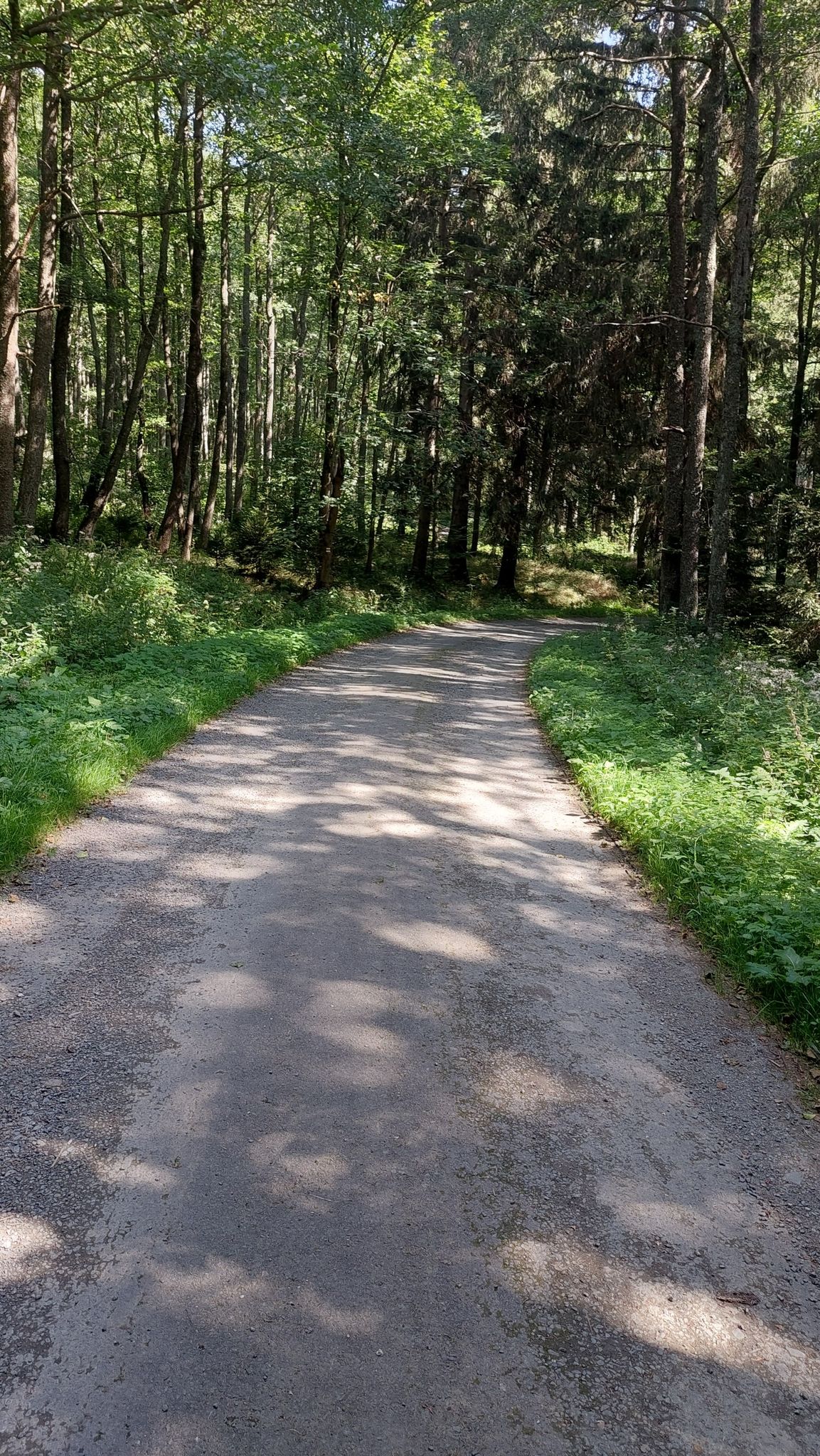 Jeleni Weg