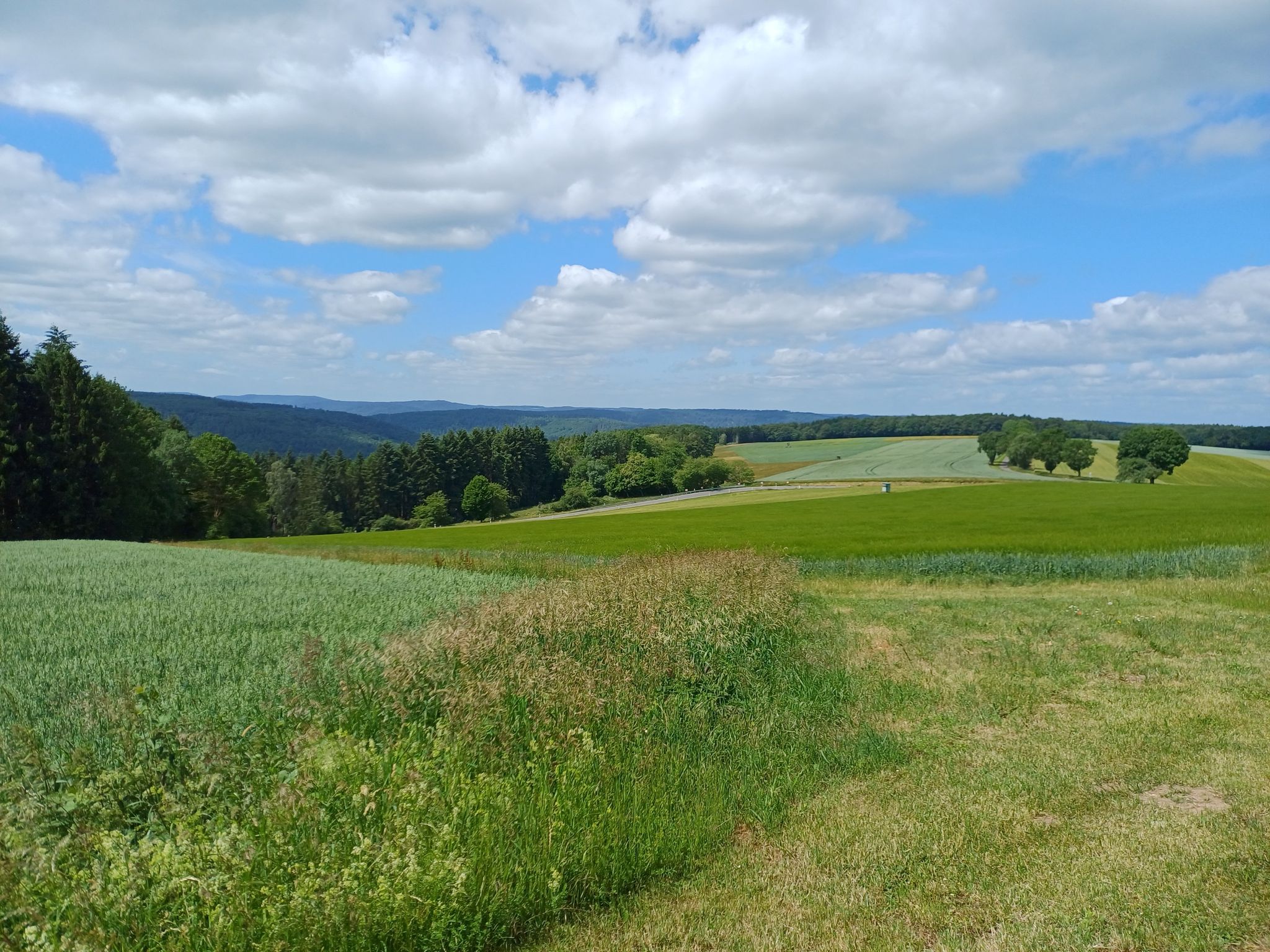 Blick über den Odenwald 