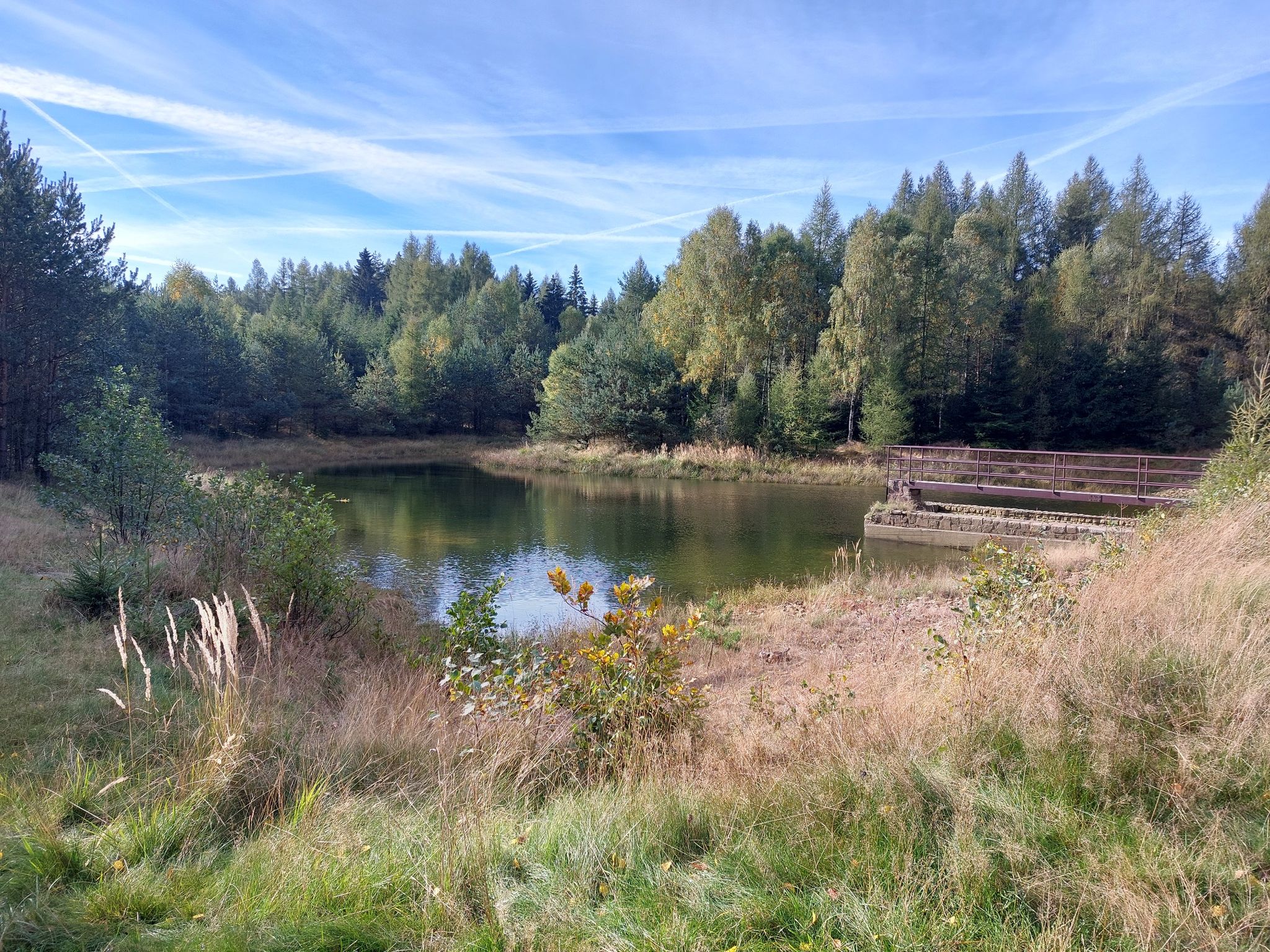 Teich