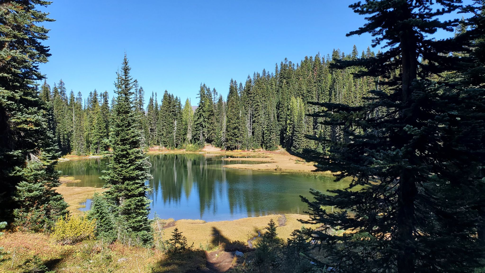 Hen Skin Lake. Lots of 8 inch trout jumping.