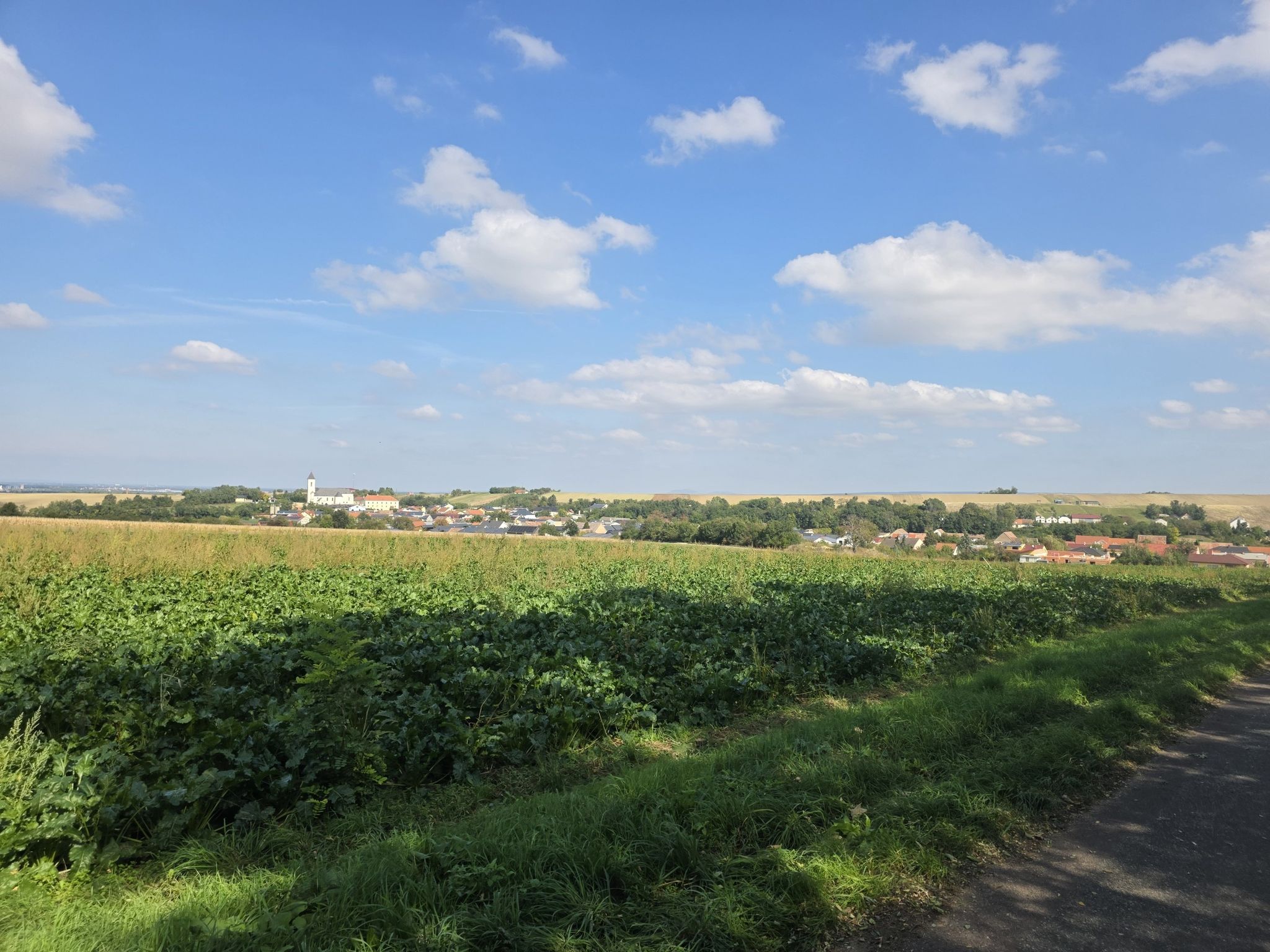 Blick auf Gaubitsch, Gemeinde im Bezirk Mistelbach.