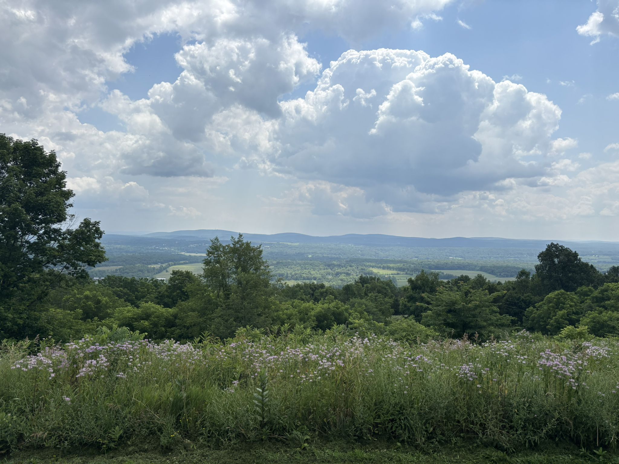 Expansive green landscape under a partly cloudy sky, with distant hills. - Overlook – Duck Pond loop from Breakfast Wall
