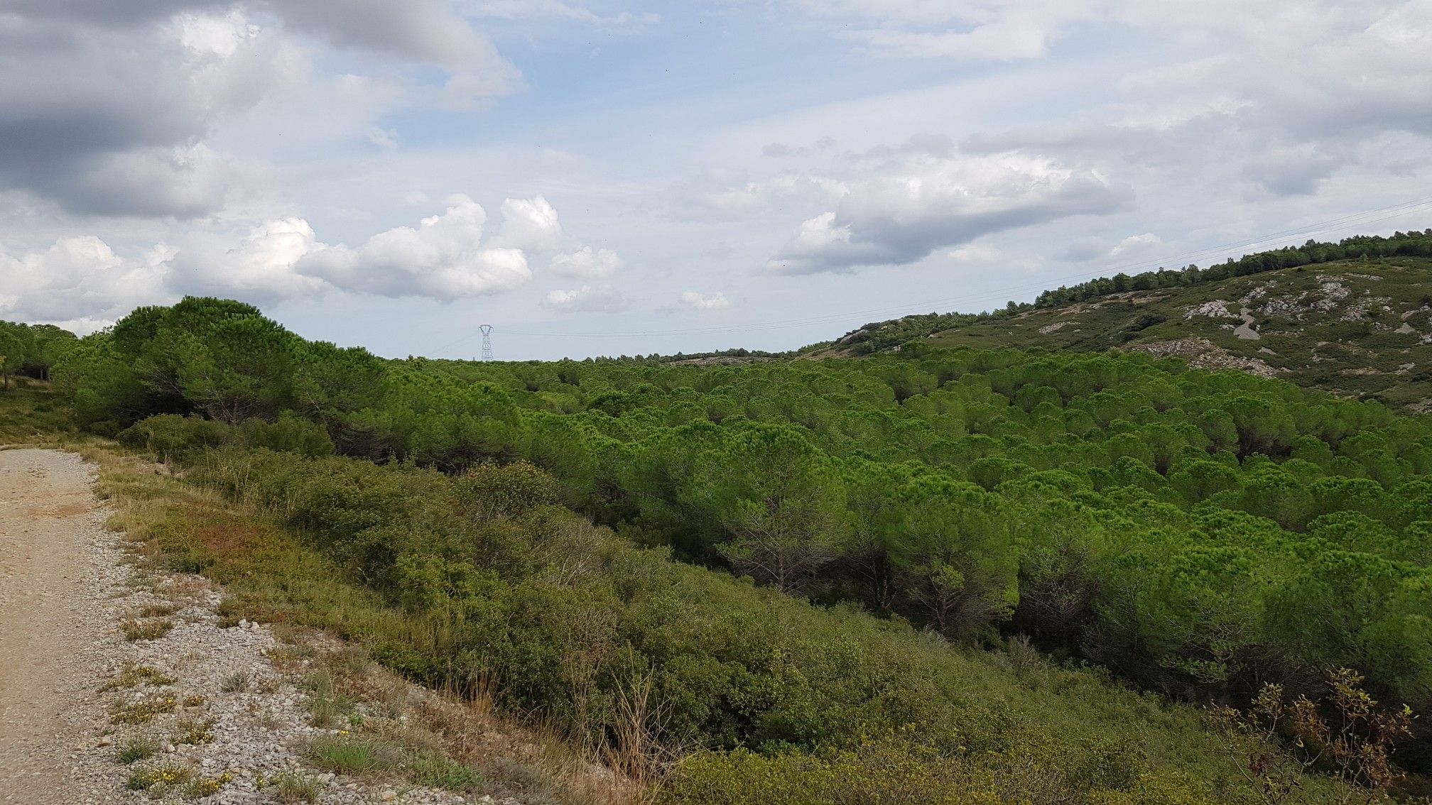 Il y avait un joli dégradé de verts, même sans soleil ☺