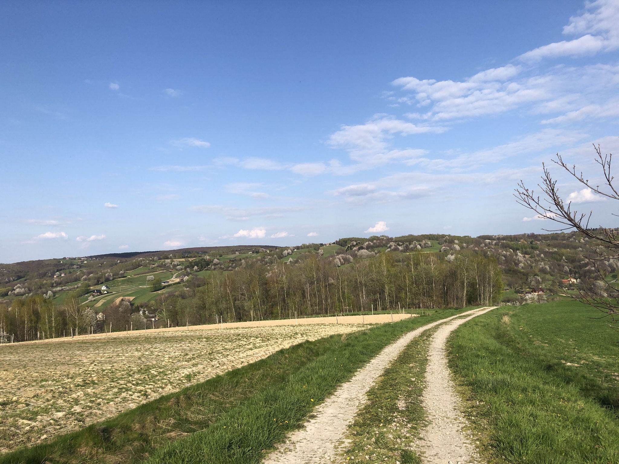 droga na Obręczną