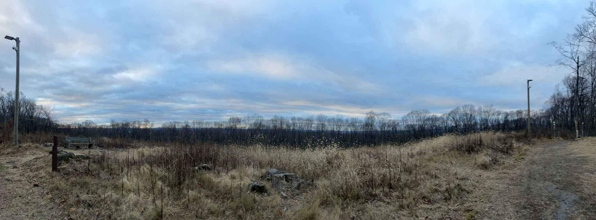 A wide panoramic view of a dry field with bare trees and two light poles. - Governor Dick Firetower via Horseshoe Trail Loop