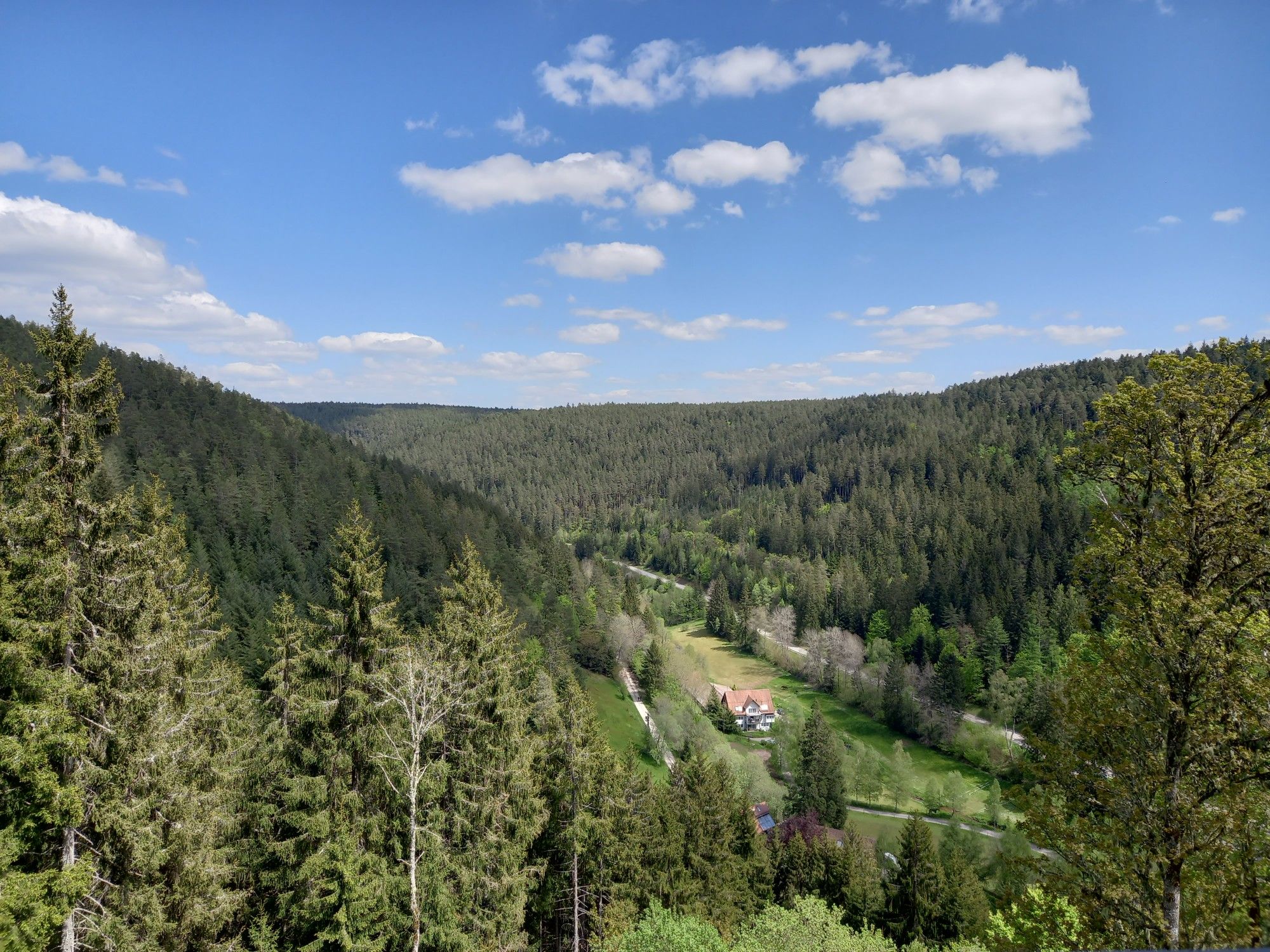 Burgausblick