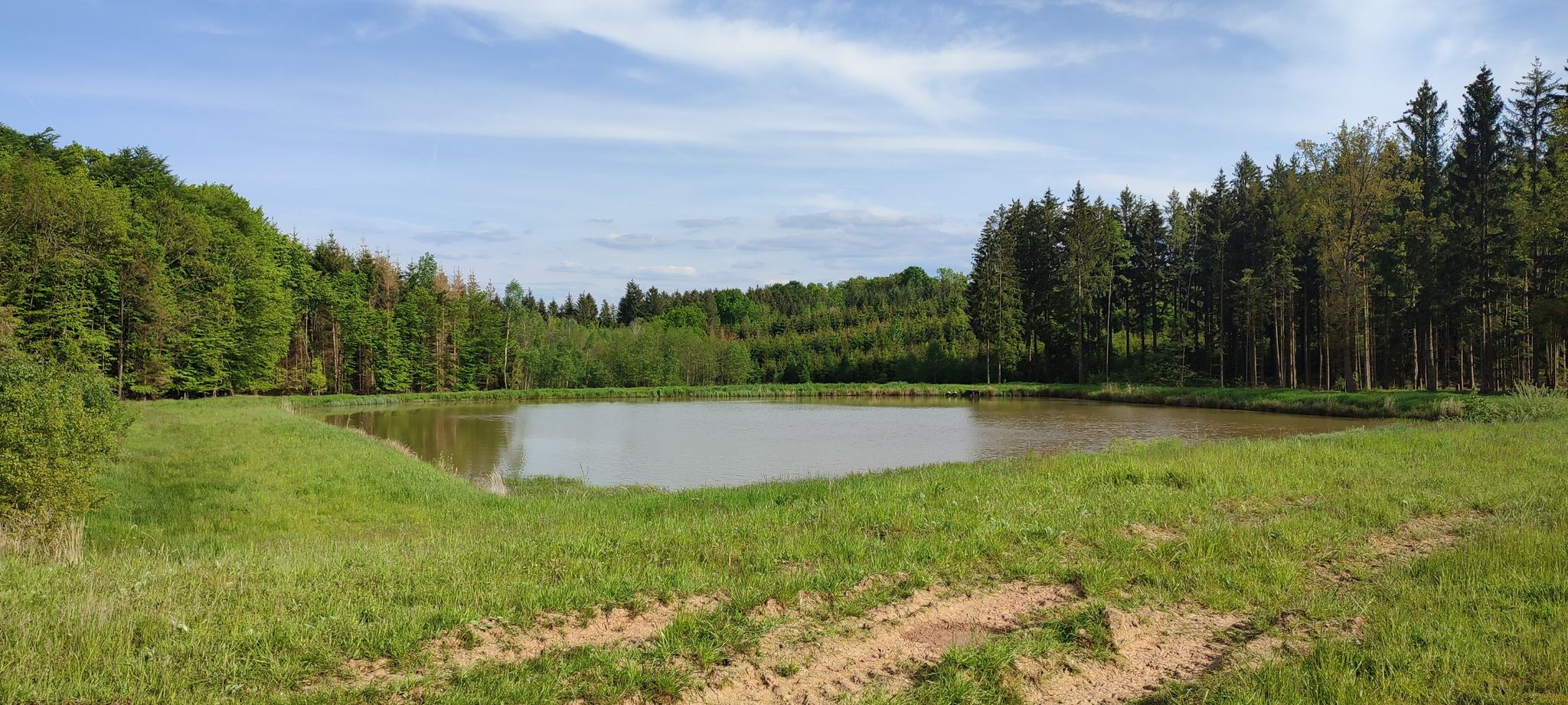 und noch ein ruhiger Waldweiher