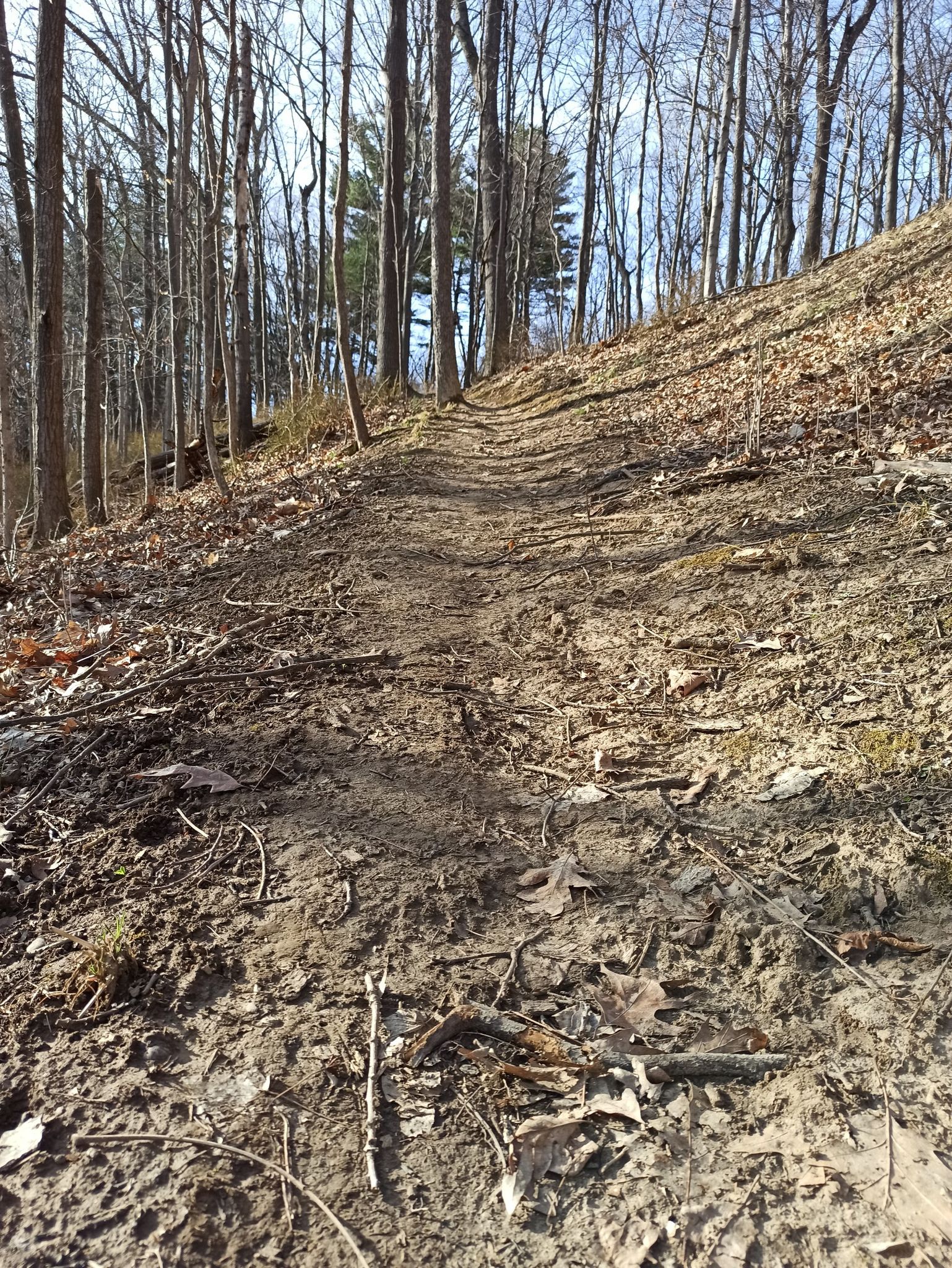 Steep, narrow dirt trail ascending through a bare forest on a sunny day. - Loop Trail