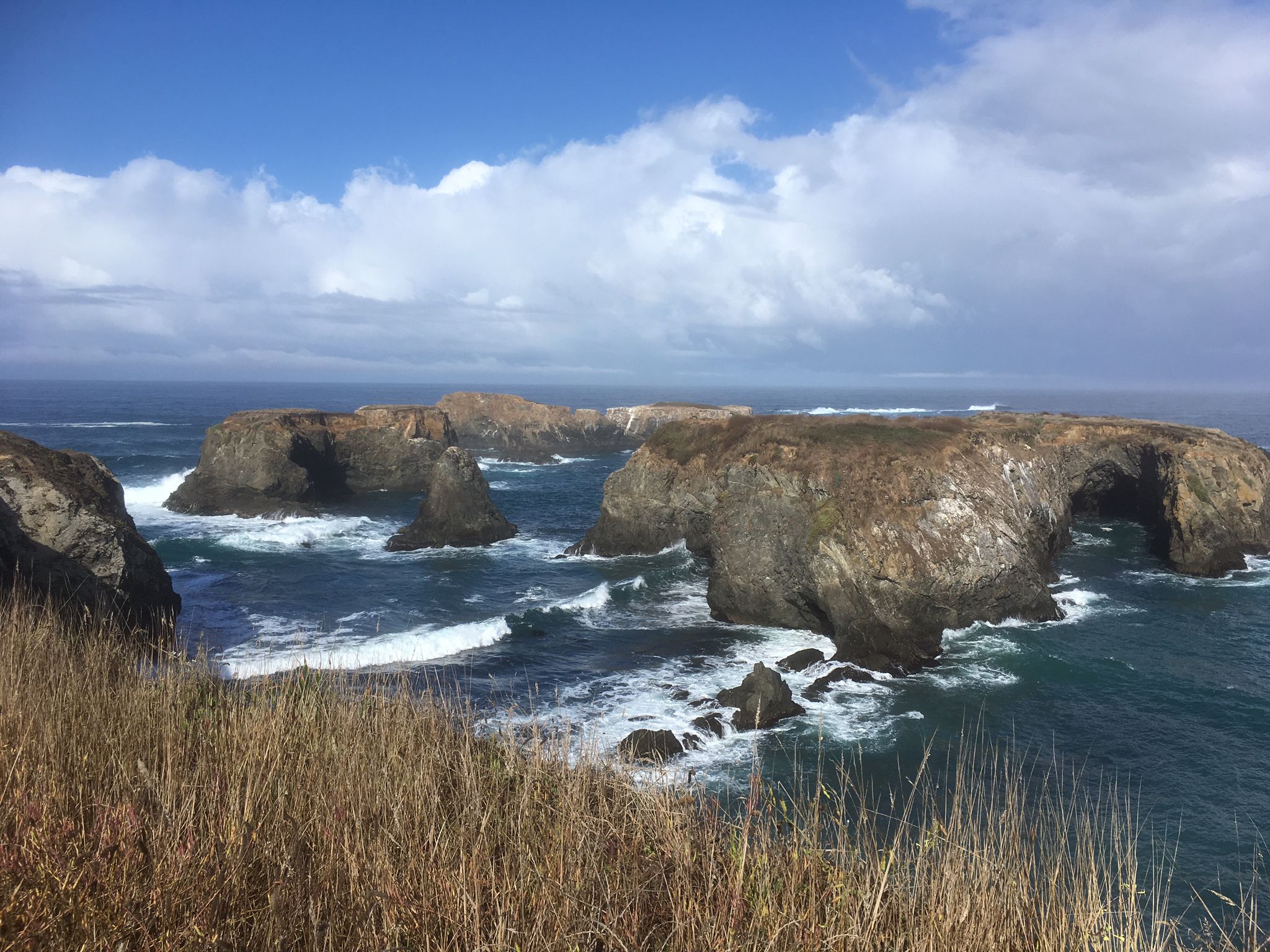 Rocky sea stacks and arches in choppy ocean under cloudy sky. - Mendocino Headlands Bluff Trail Loop