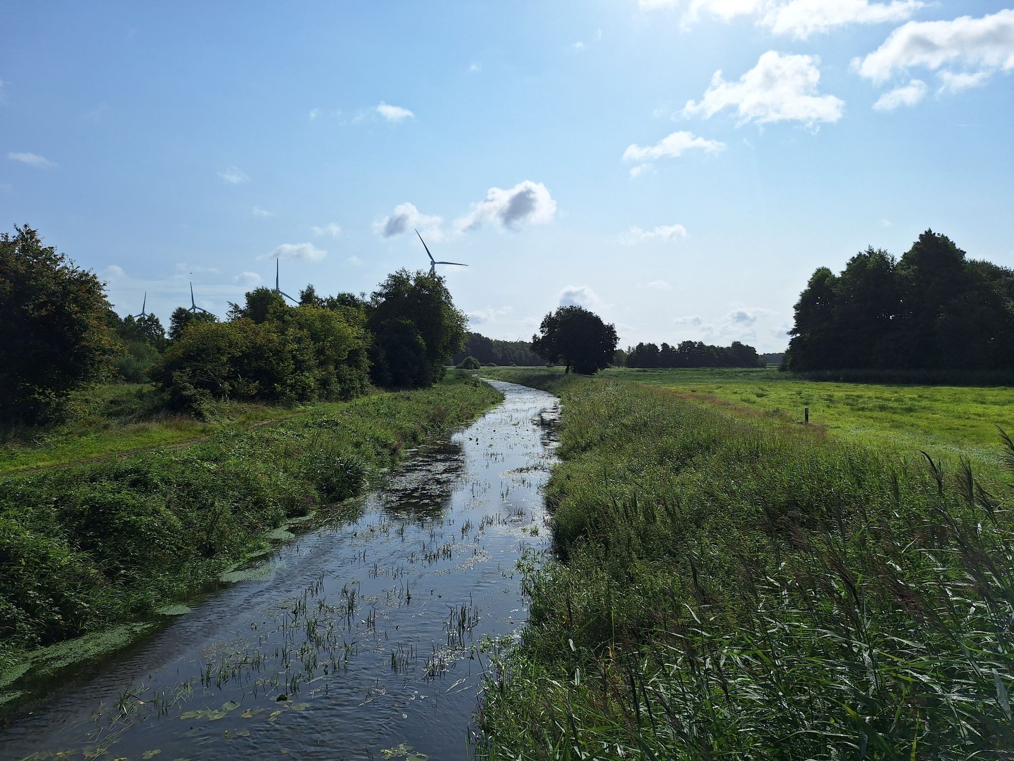 Die Nordradde