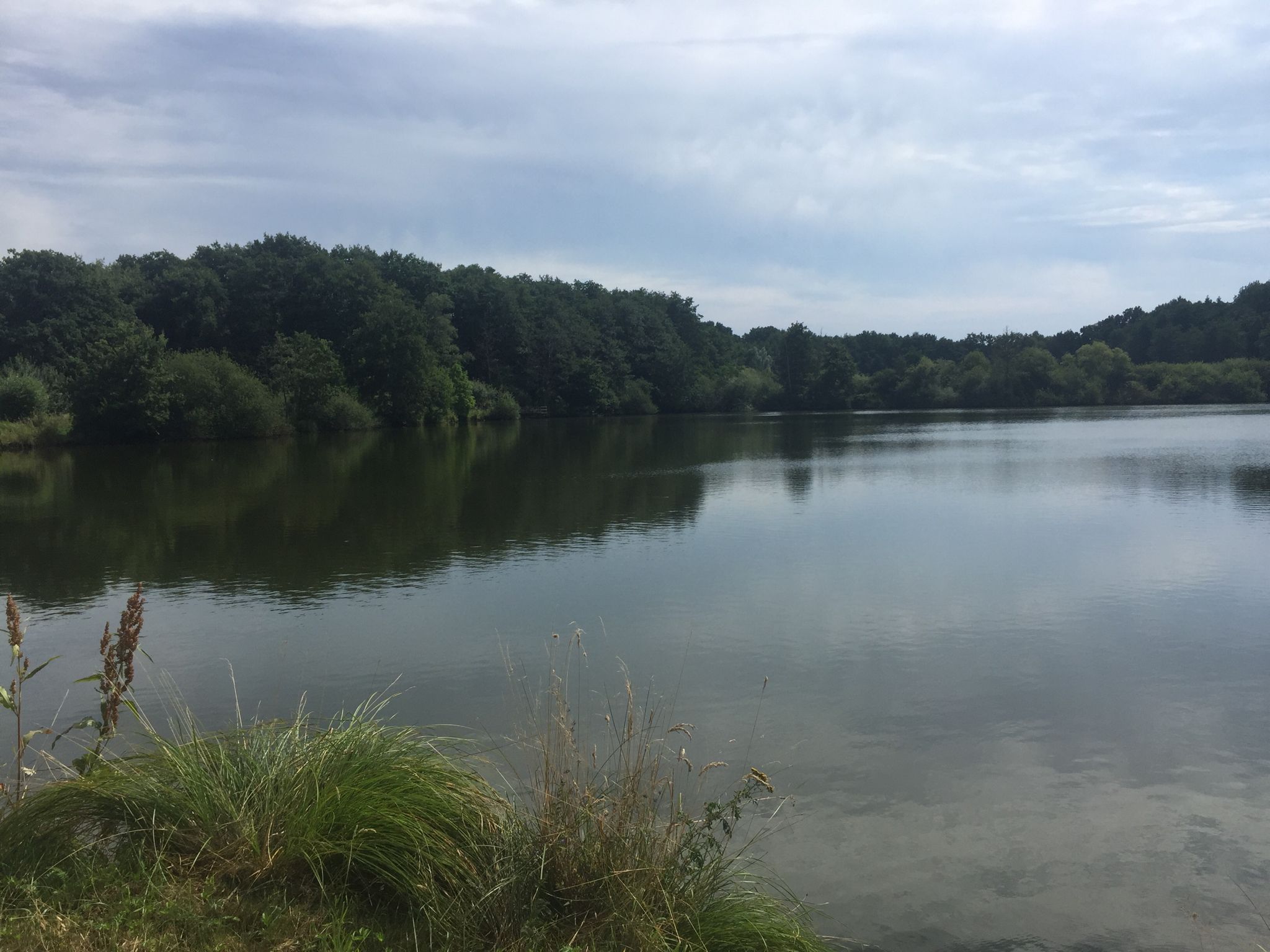 Teiche bei Sunde