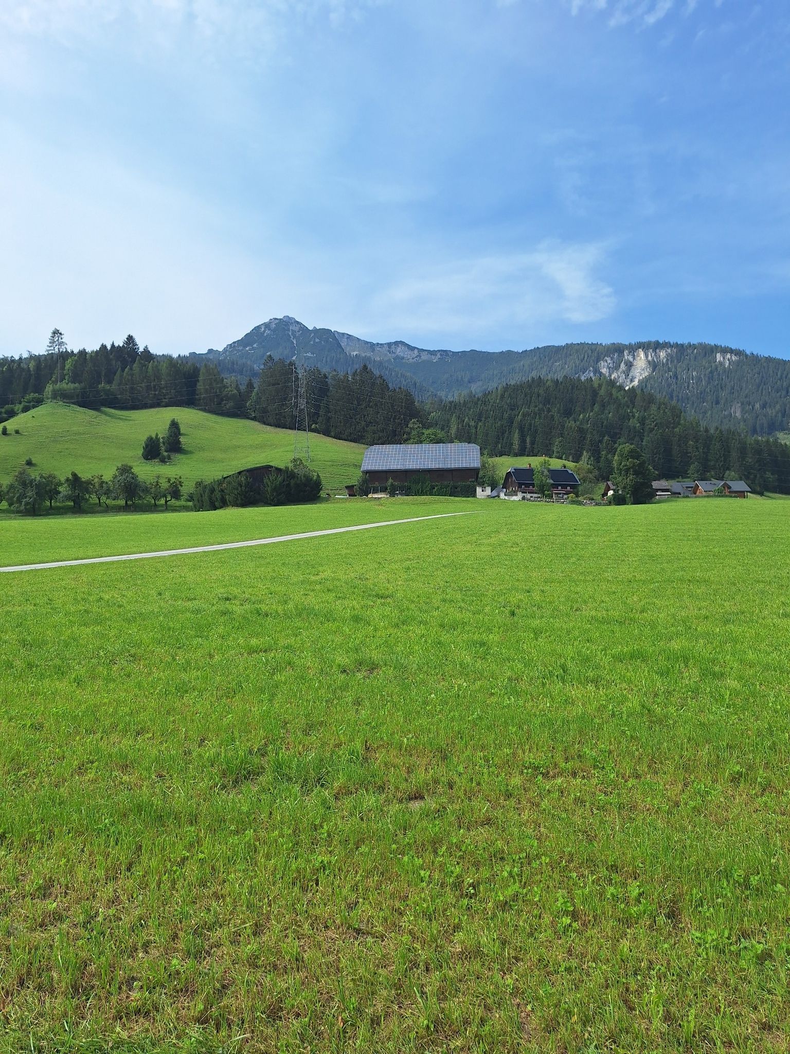 Viel PV am Dach