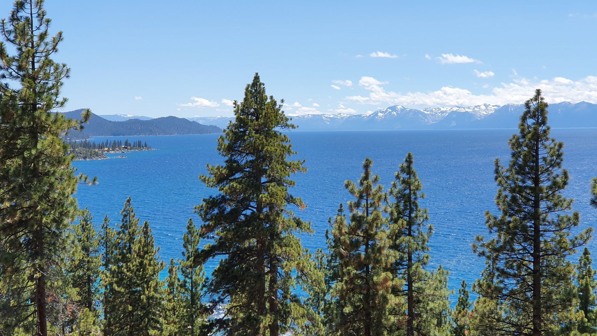 Tall pine trees frame a clear blue lake with snow-capped mountains in distance. - Monkey Rock Trail