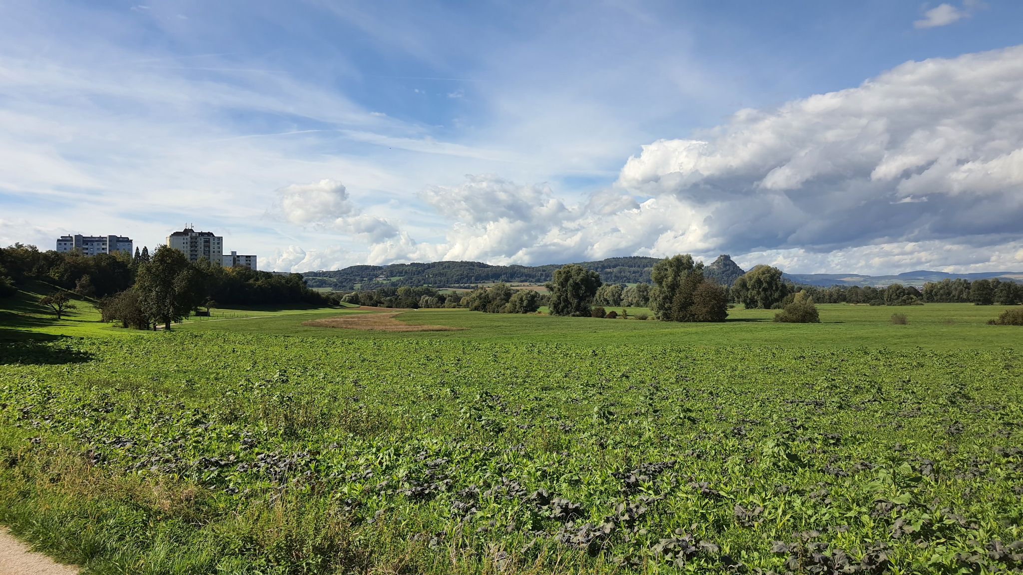 Singen-Nord,Tannenberg, Hohenkrähen