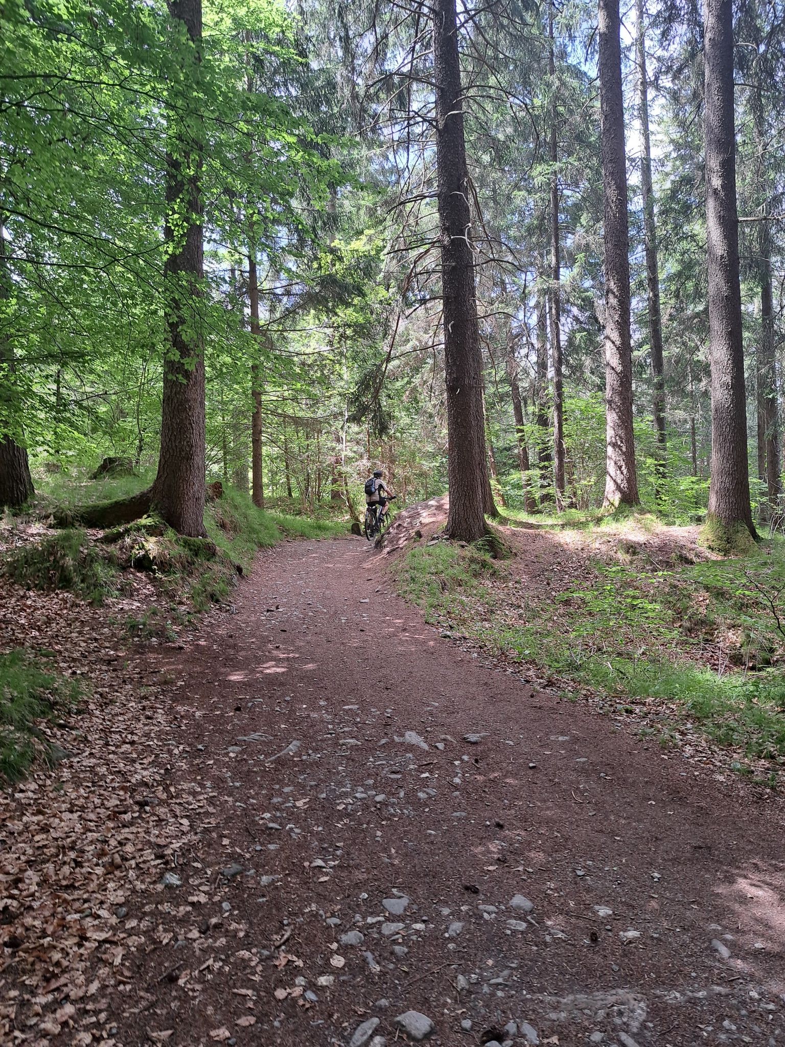 Fürstenwald Chur
