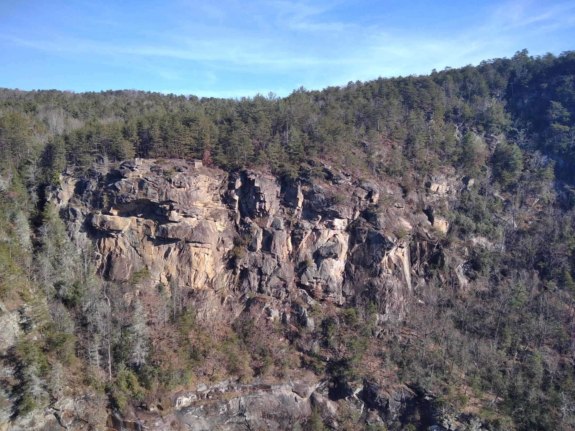 Massive rock cliff face covered with sparse trees under a clear blue sky. - South Rim Trail