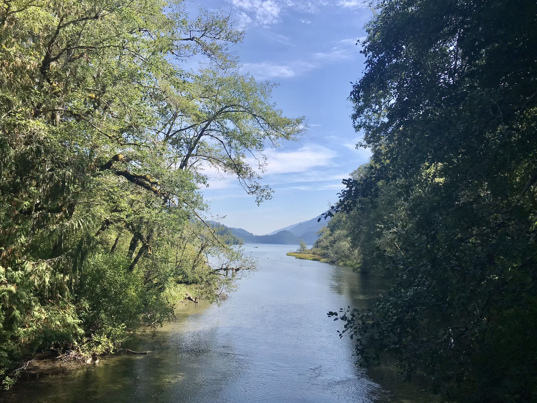 Sunny view of a river framed by dense green foliage and distant hills. - Lyre River/Lake Crescent loop from Lyre Conservation Area