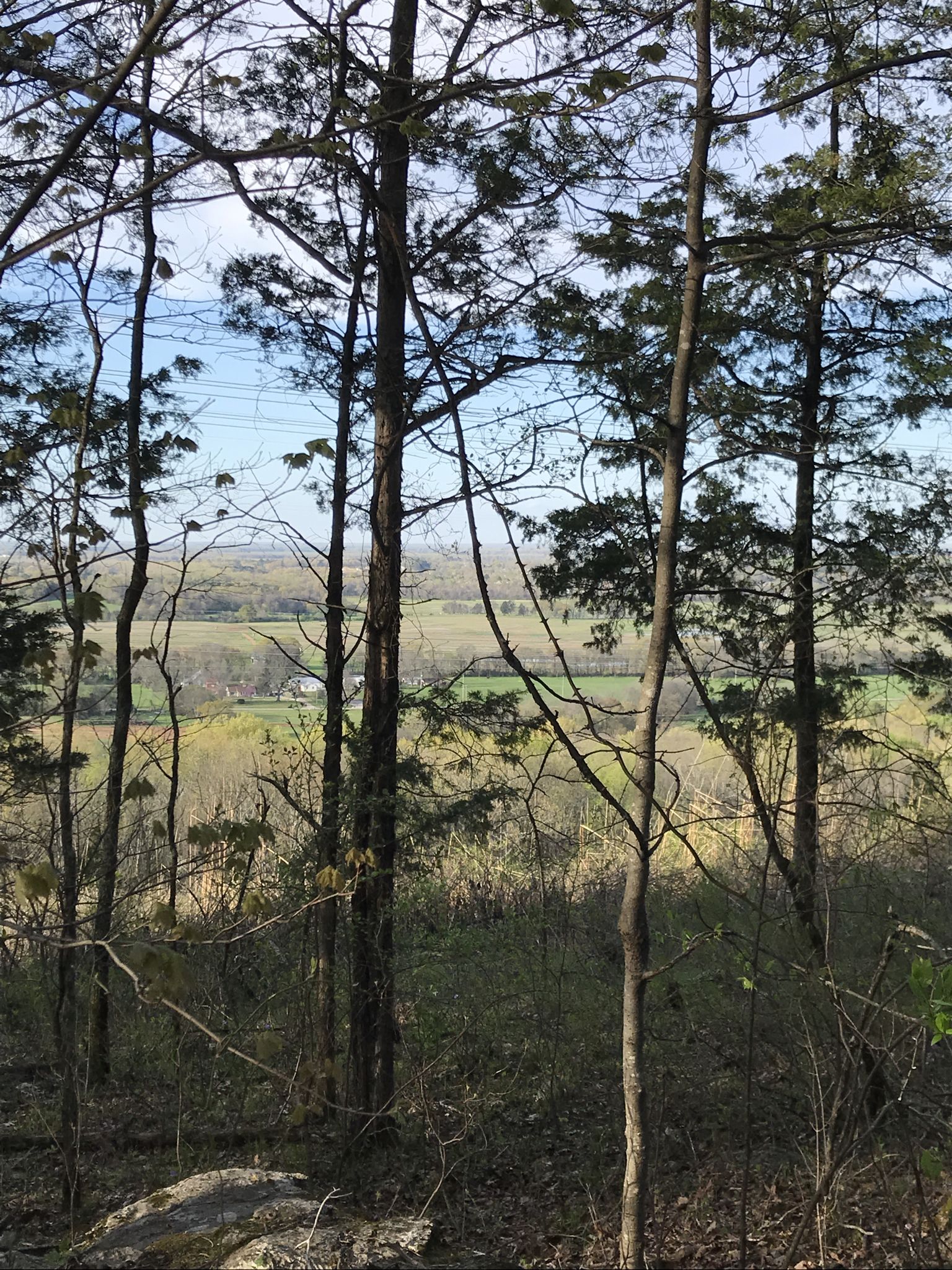 View