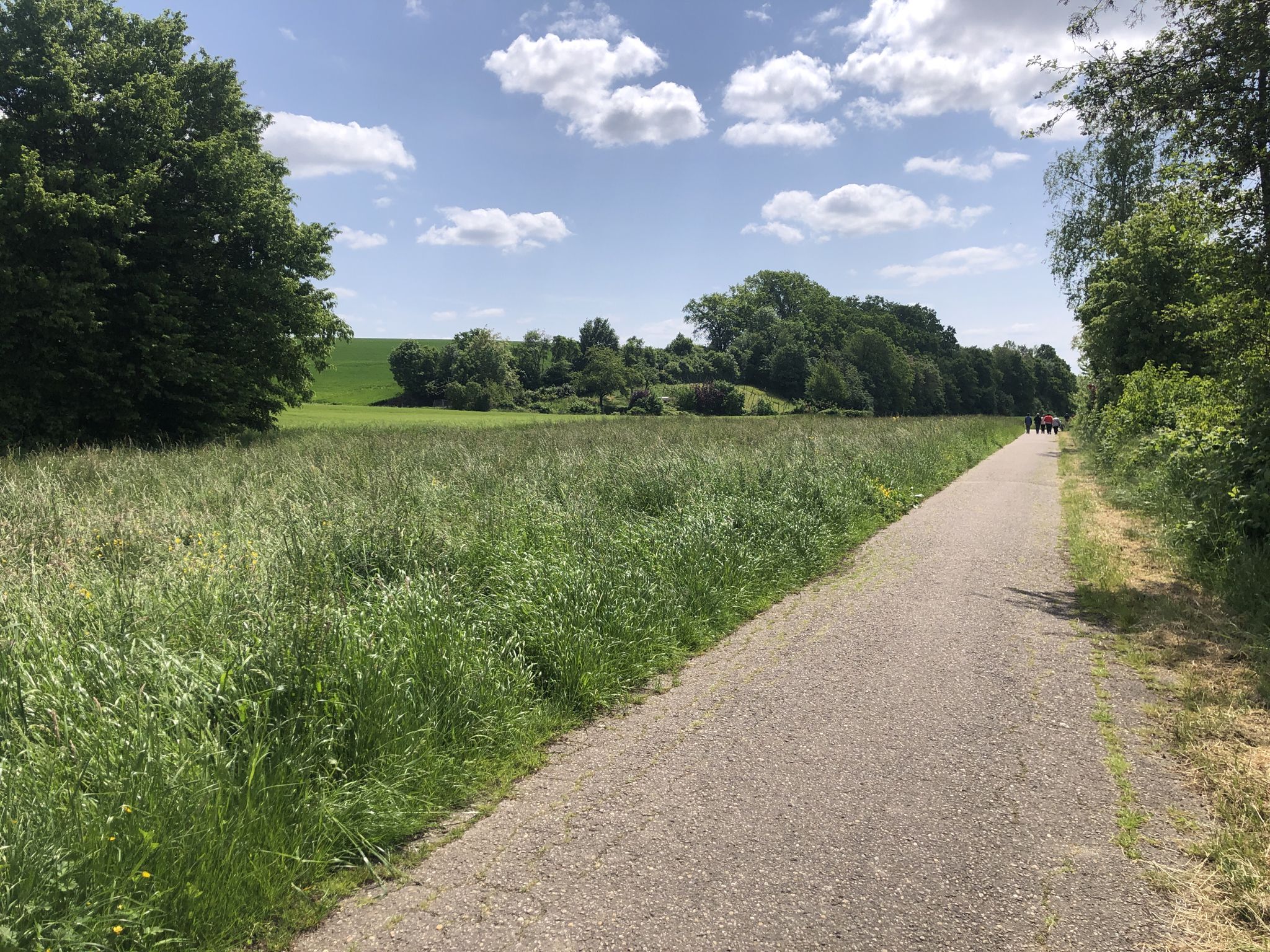 Am Birkenbach entlang.