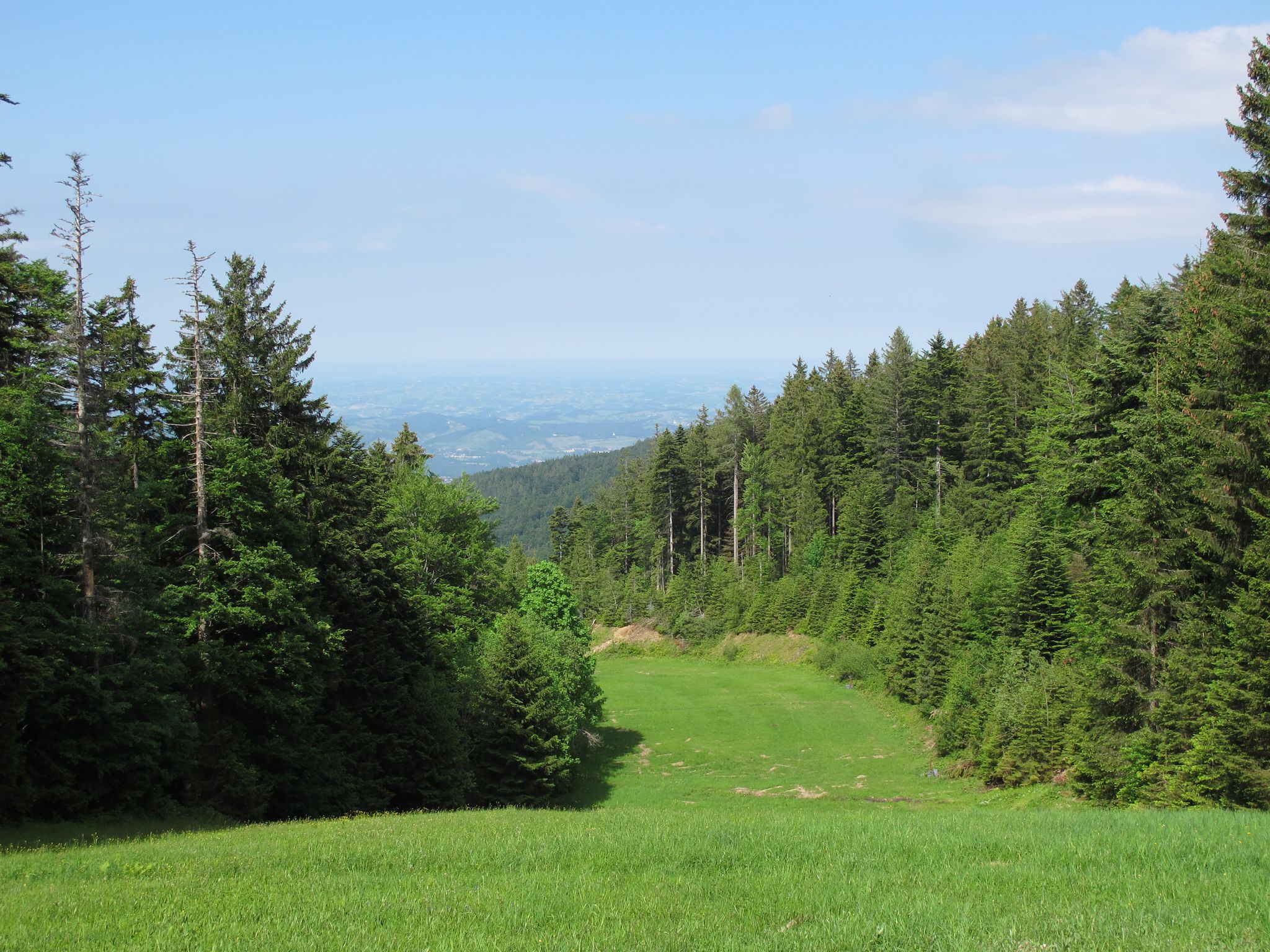 Nice view from skiing track Ruška