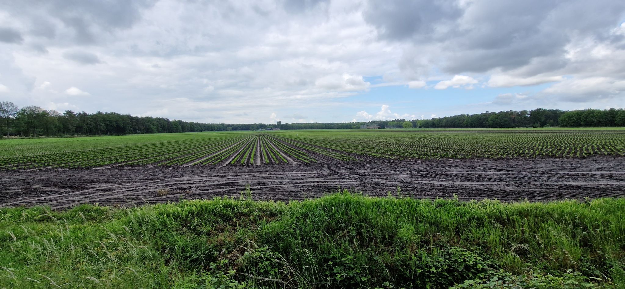 nog steeds droog