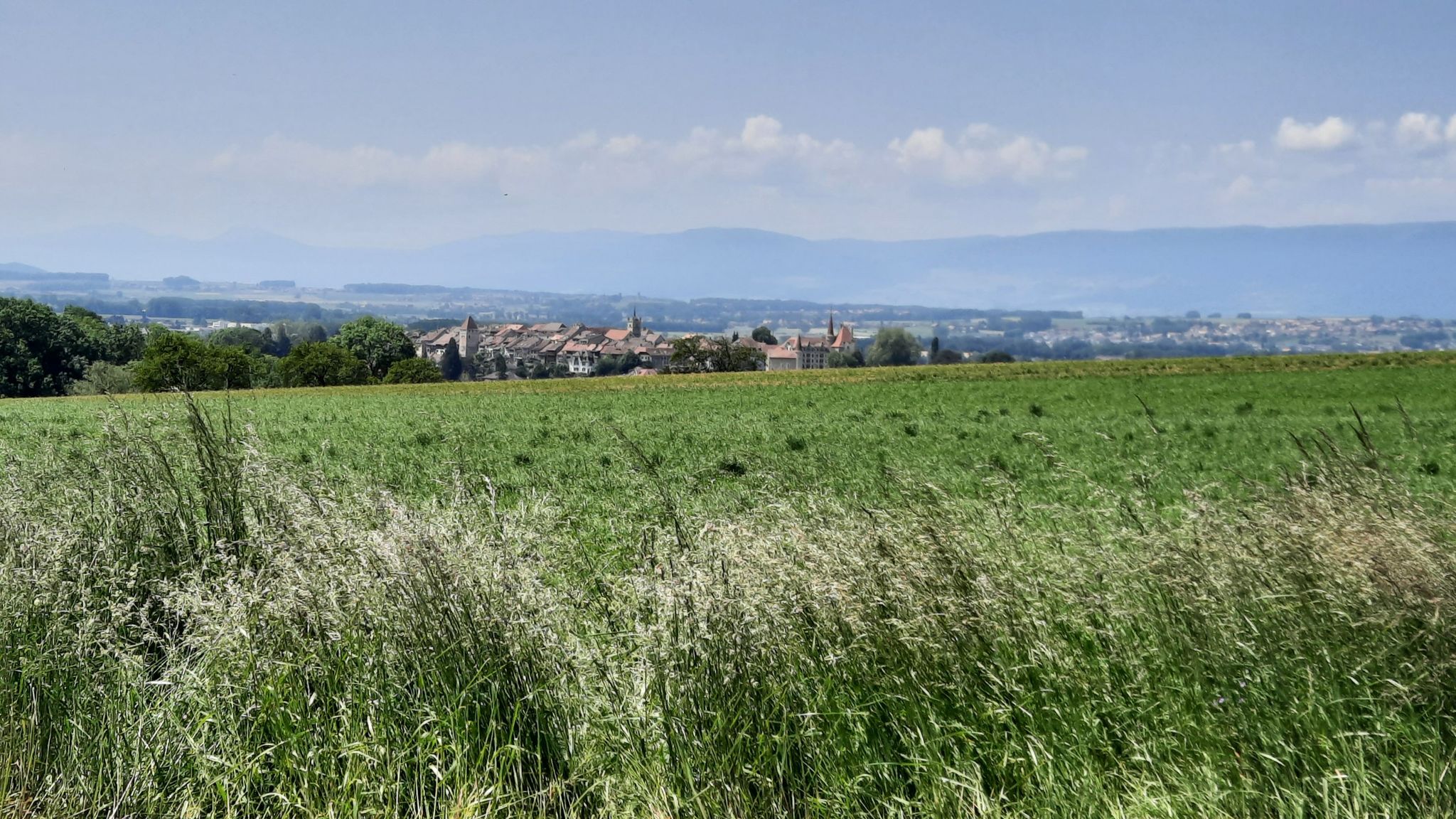 Blick auf Avenches