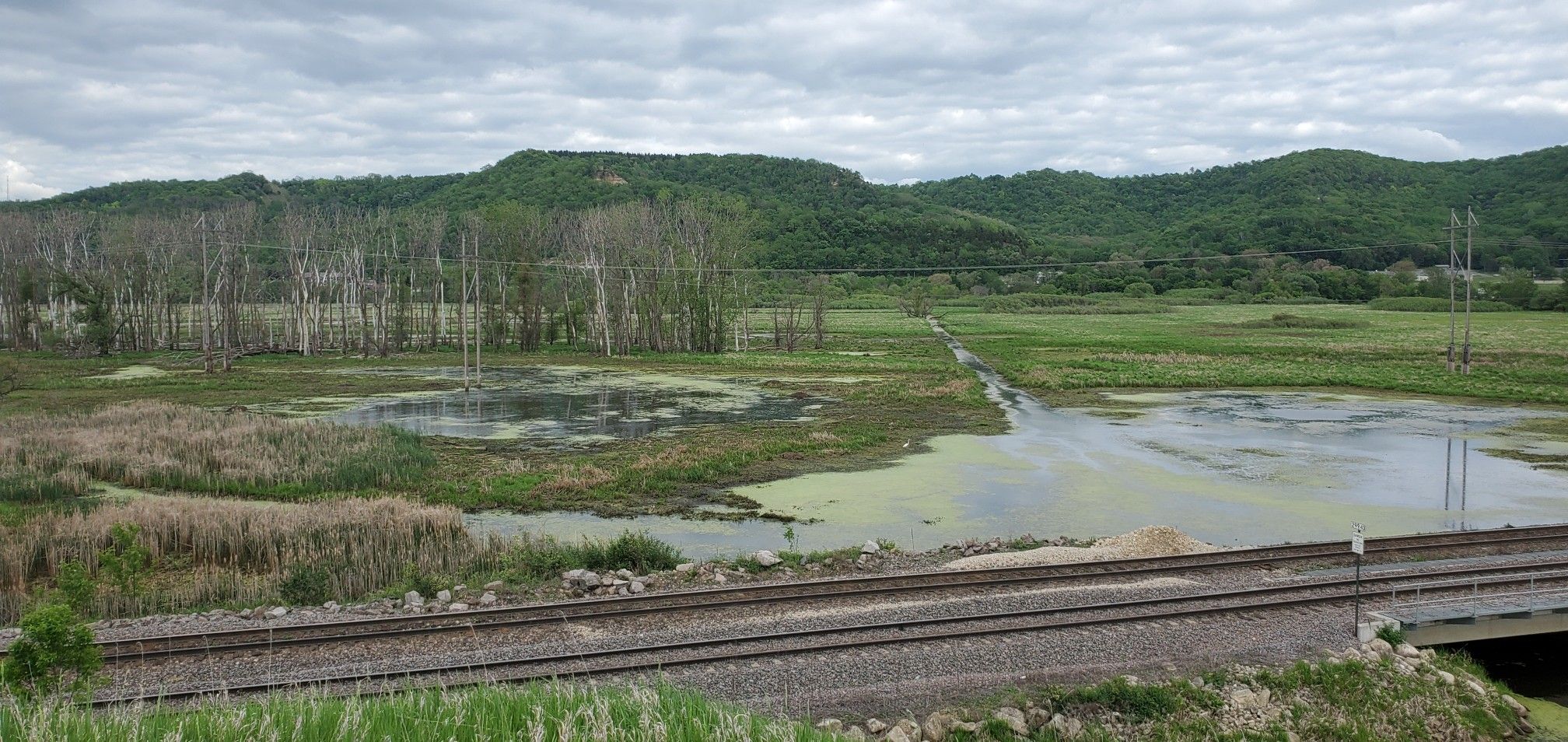 The Marsh.