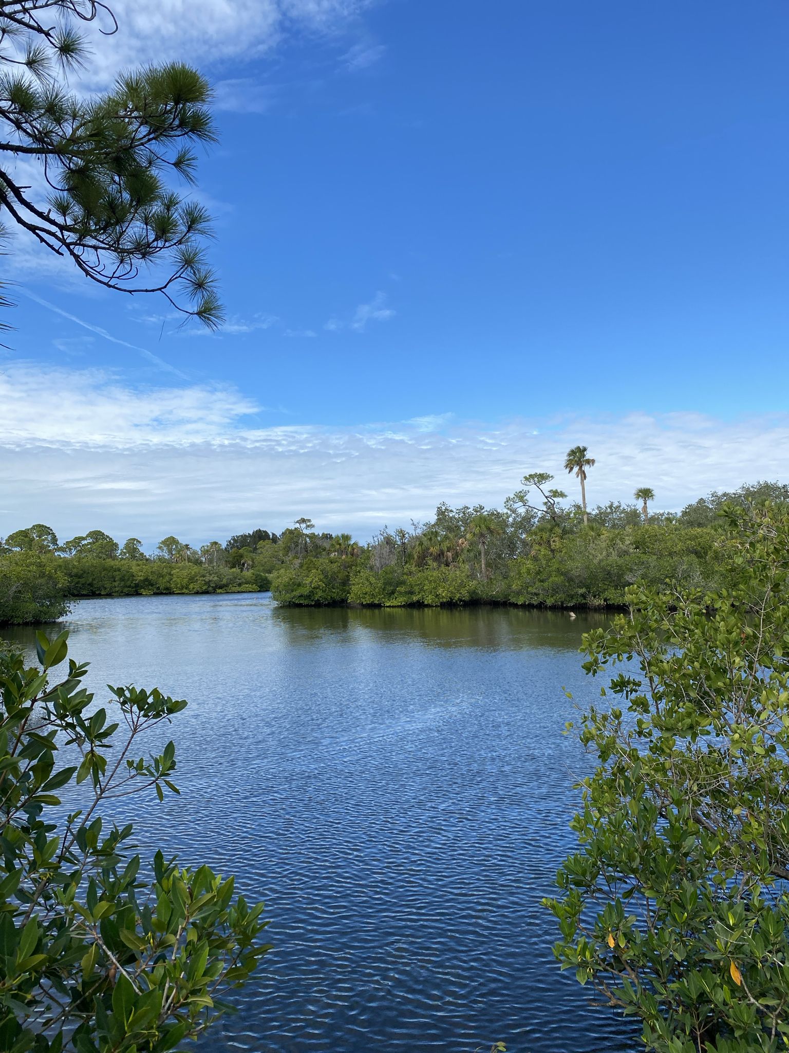 Calm blue water surrounded by dense green foliage under a bright sky. - Port Richey Parks loop