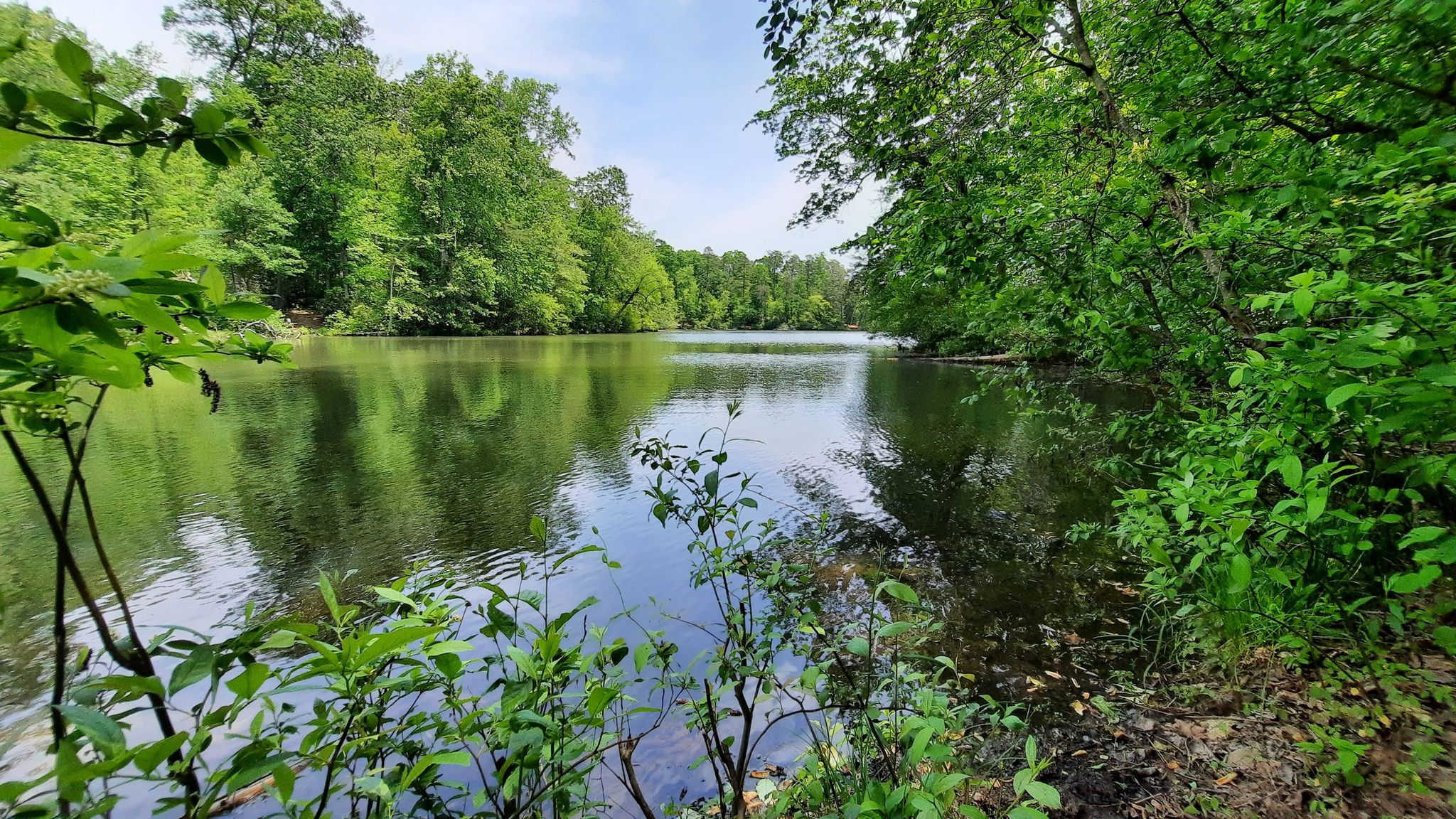A calm lake reflecting green trees and sky, framed by lush foliage. - Mountain Creek Trail Loop