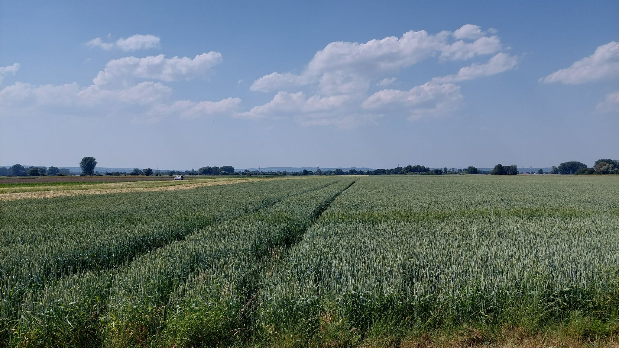 Ulm in Sicht