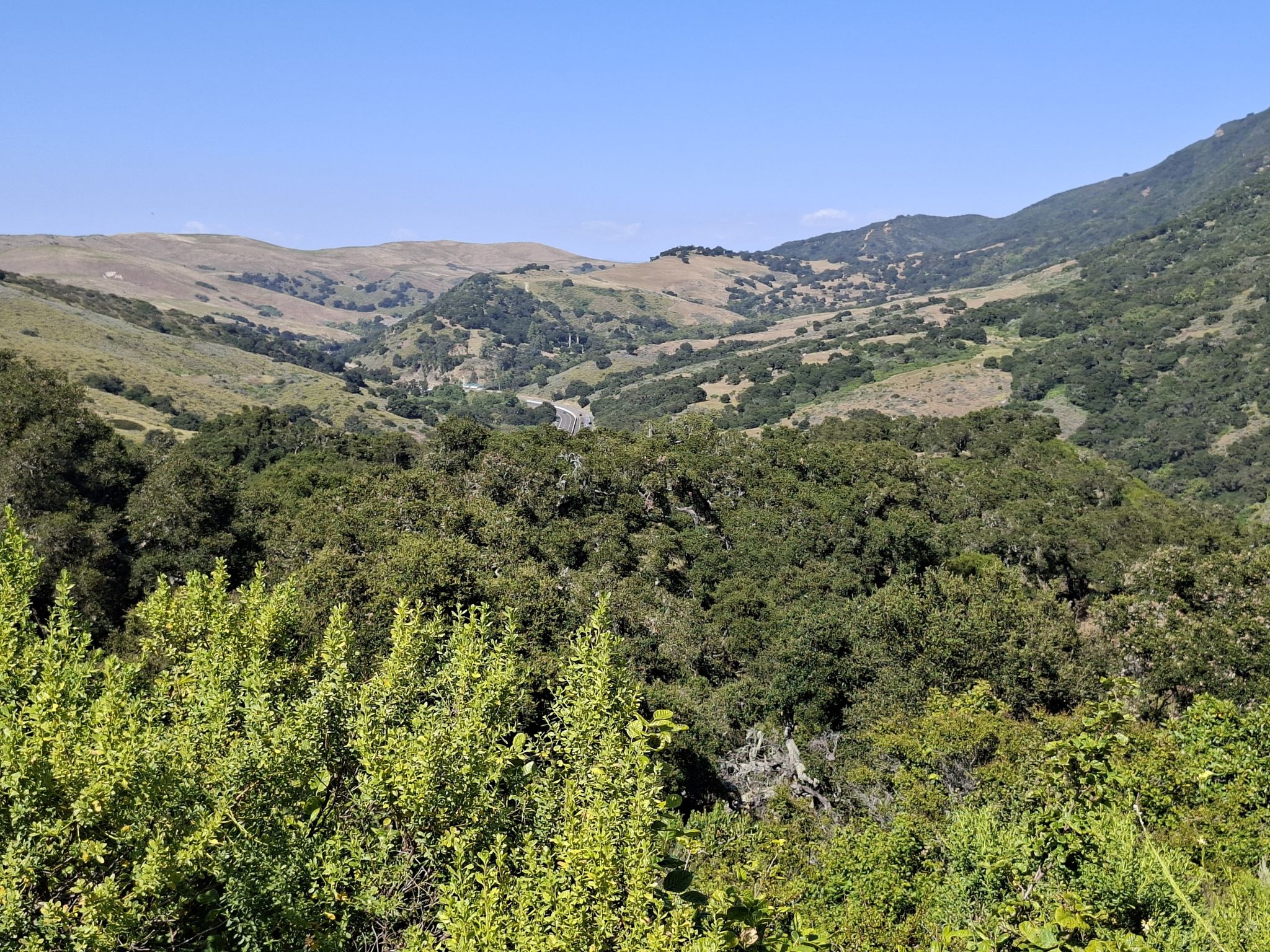 101  zu sehen vom La Ortega Trail