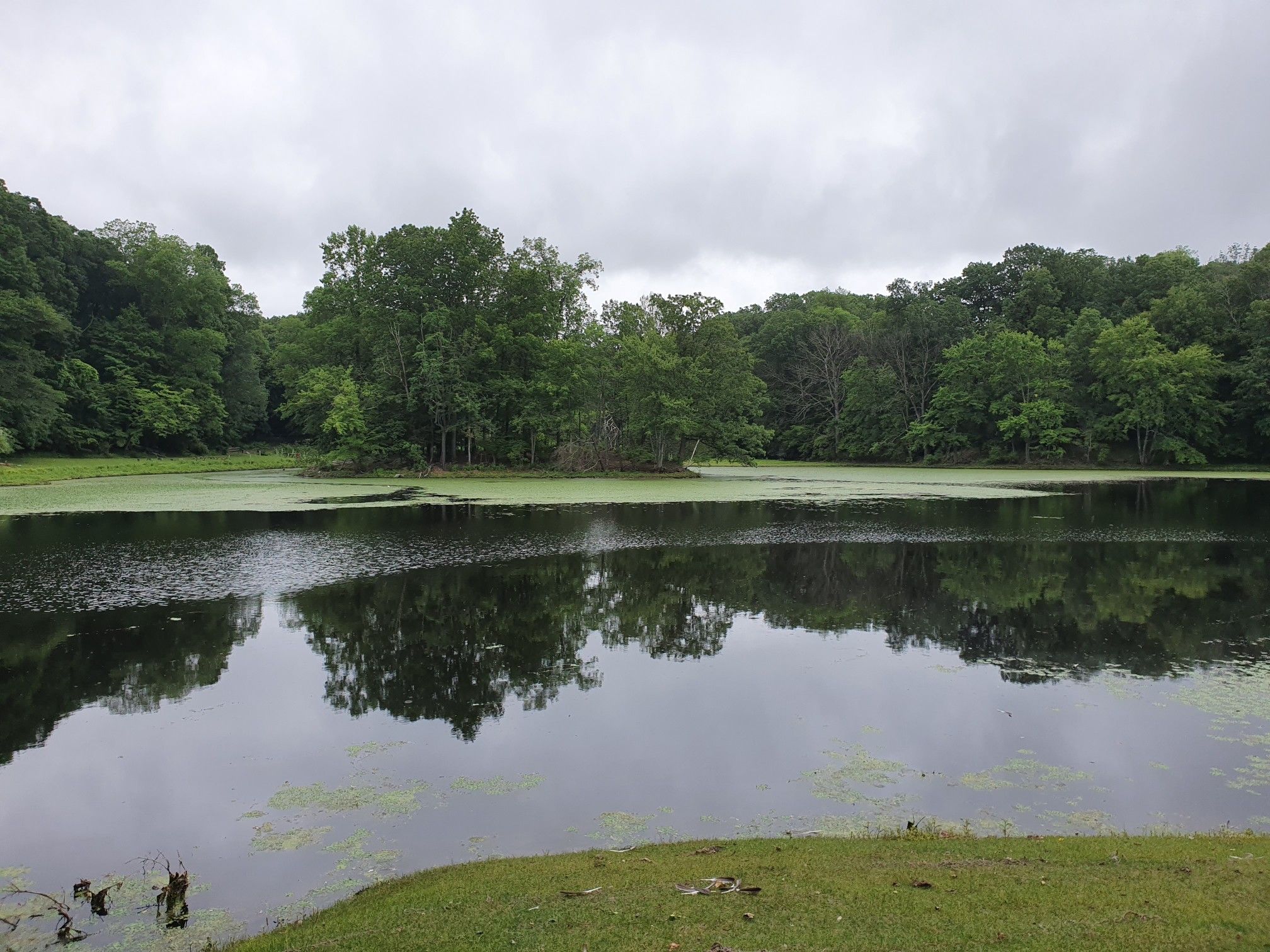 Calm pond reflecting green trees under a cloudy, overcast sky. - Lounsbury Pond – Blue Mountain Summit Trail loop from Peekskill