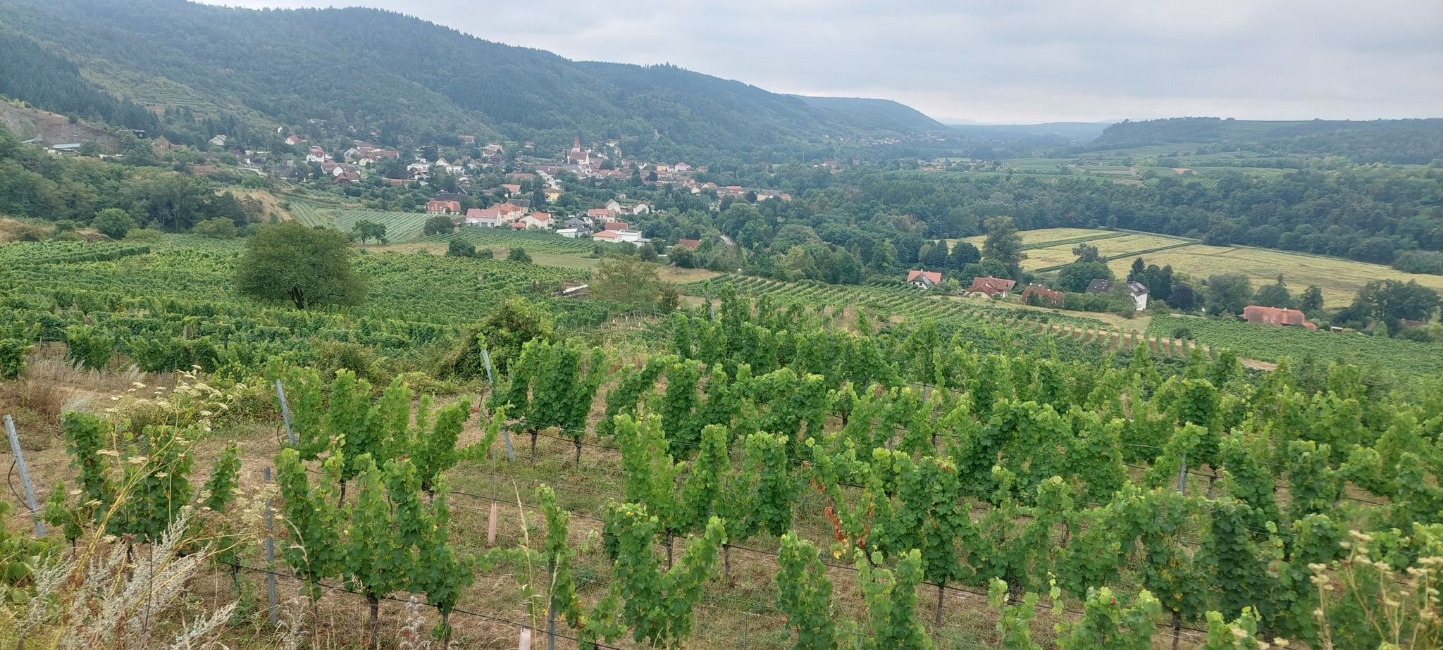 Schönberg a. Kamp