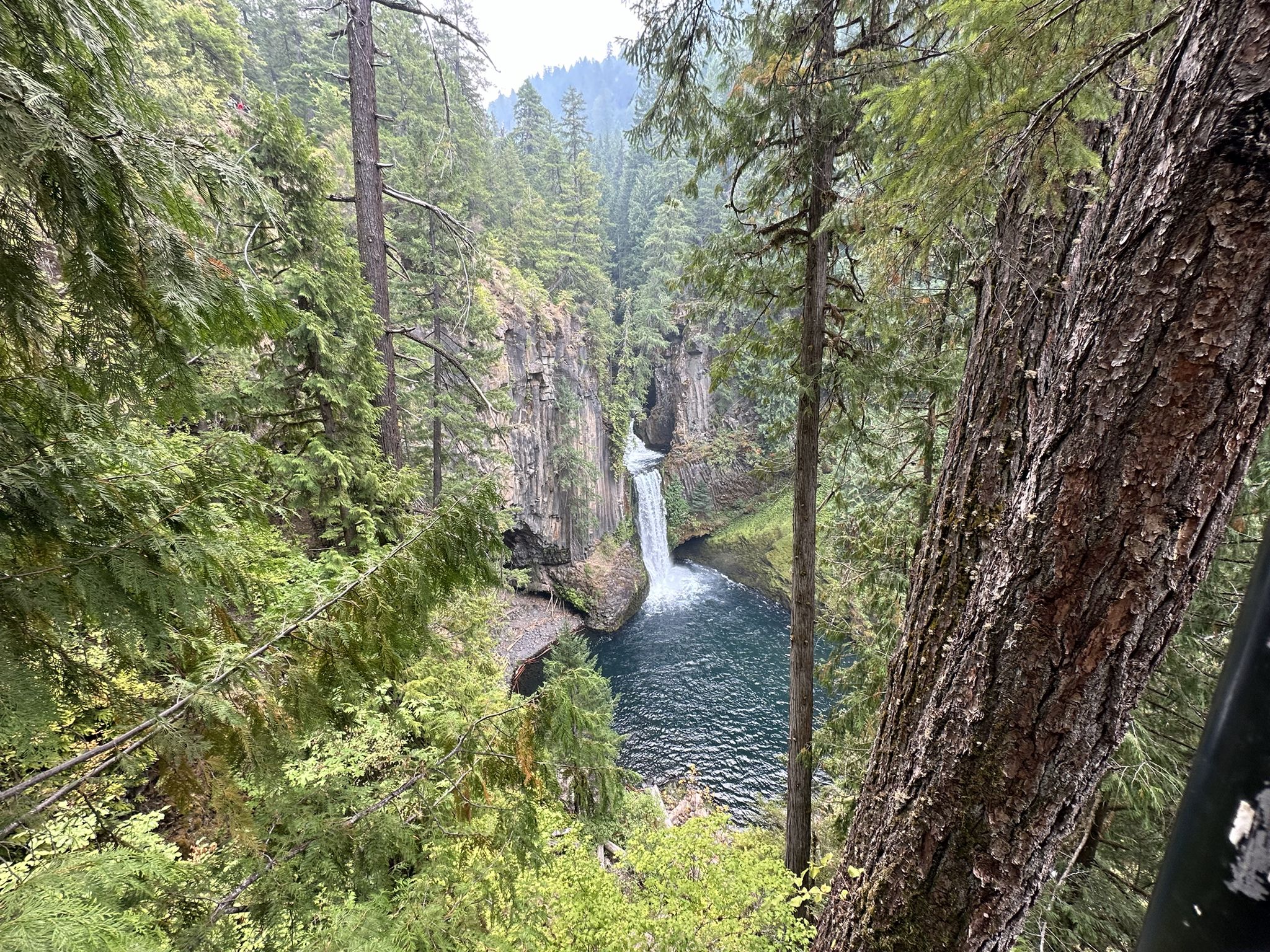Overcast view of a waterfall cascading into a deep blue pool in a forest. - Toketee Falls Trail