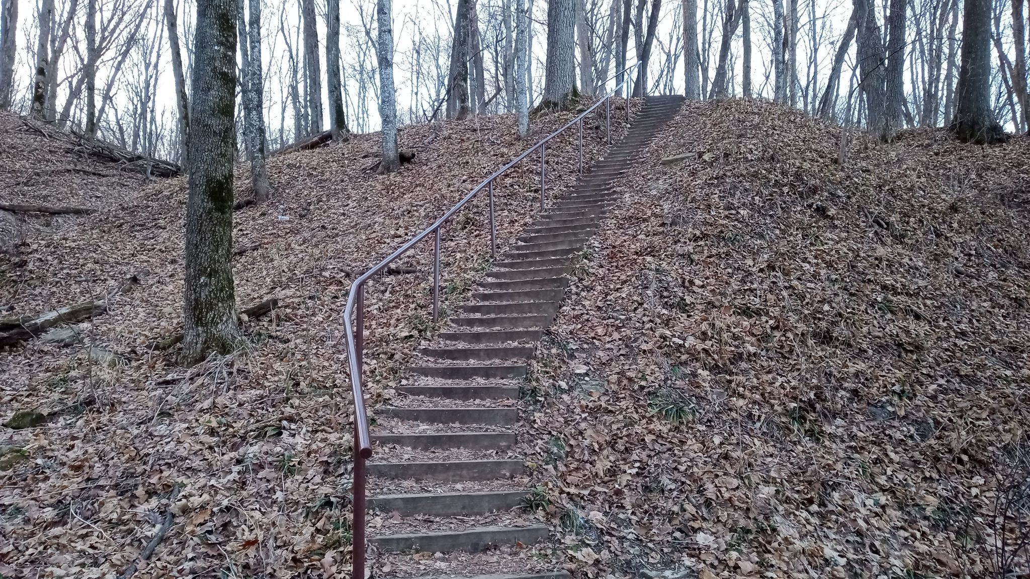 Long outdoor staircase with handrail ascending a leaf-covered hill in bare woods. - Zumbro and Maple Trail Loop