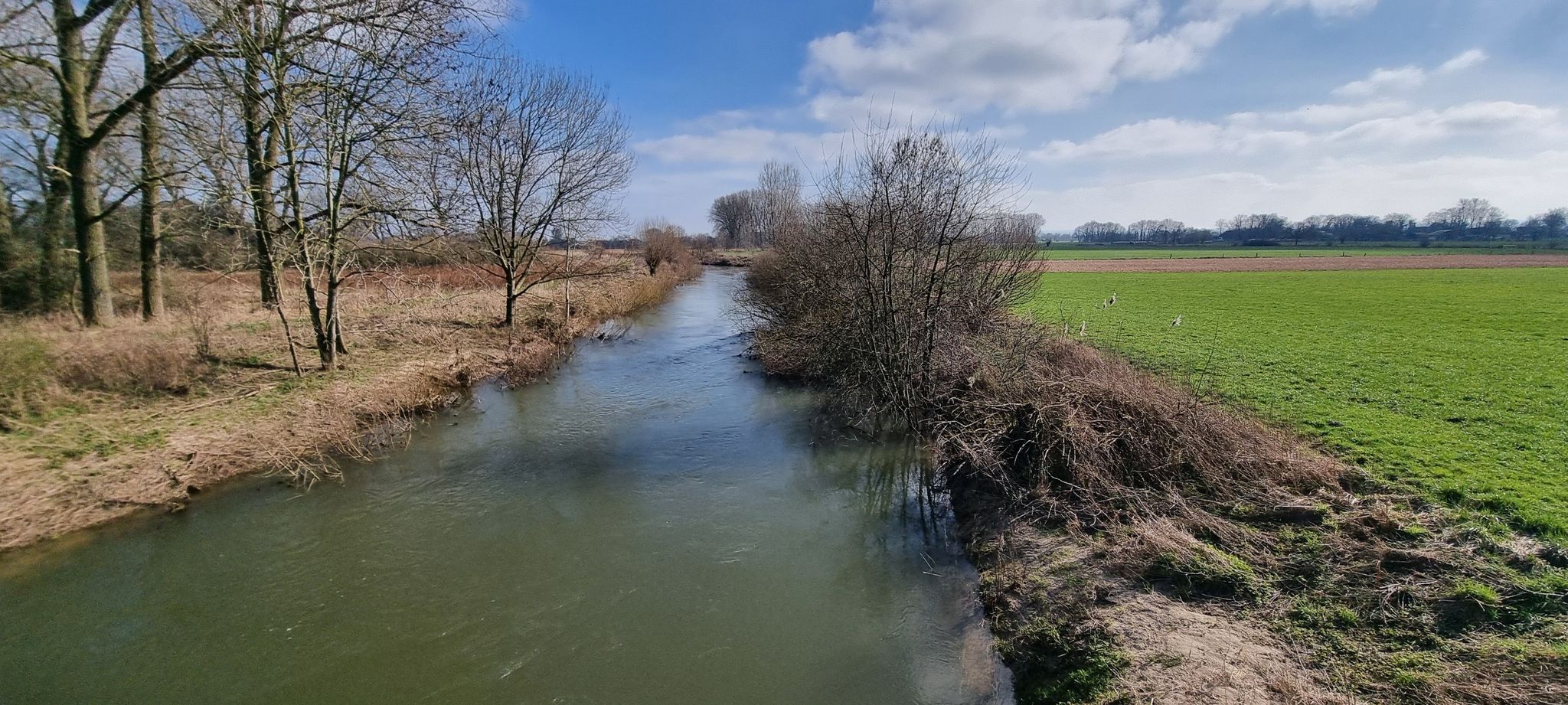 Die Lippe sieht schon viel besser aus