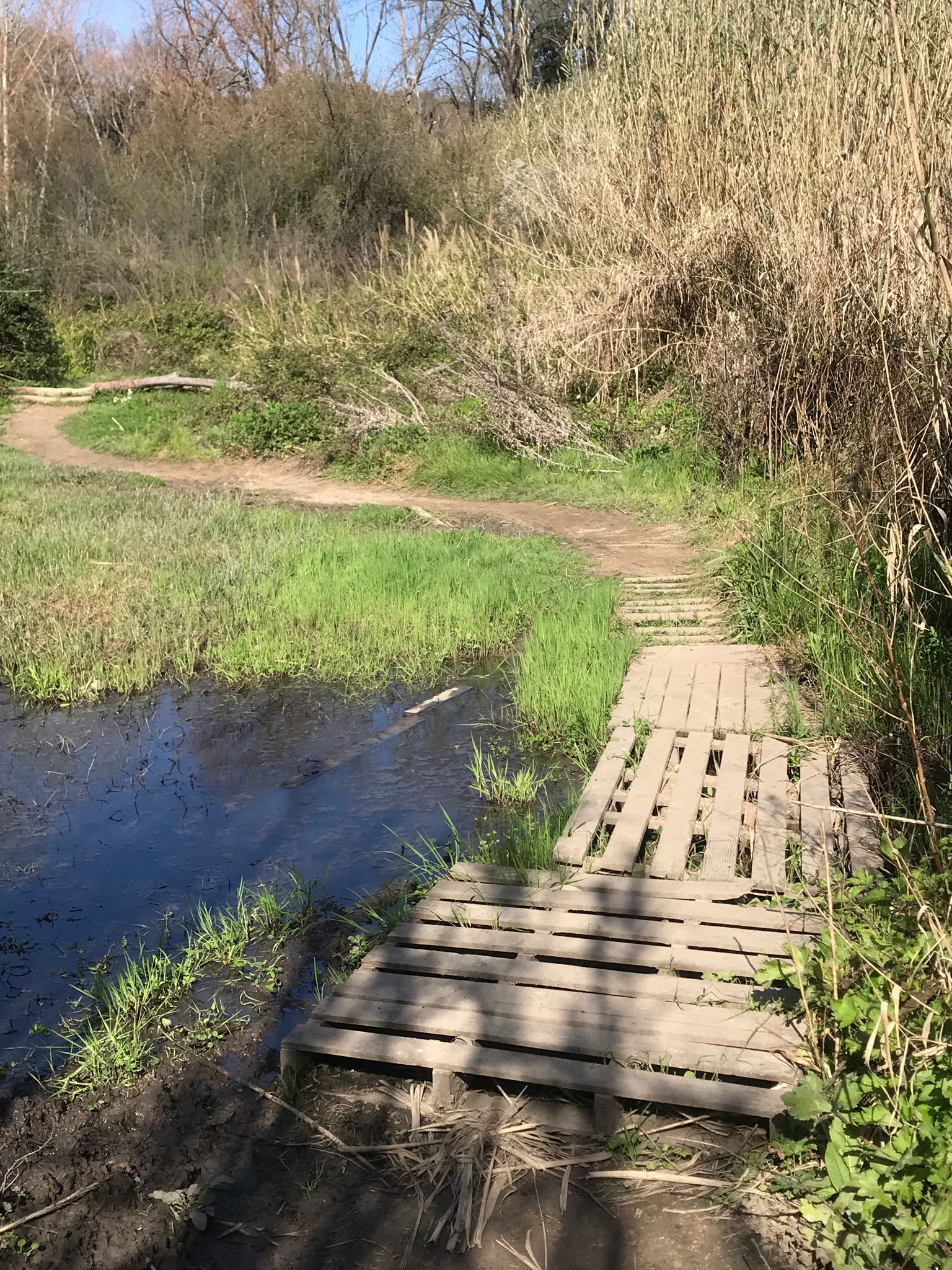 Alcuni passaggi umidi