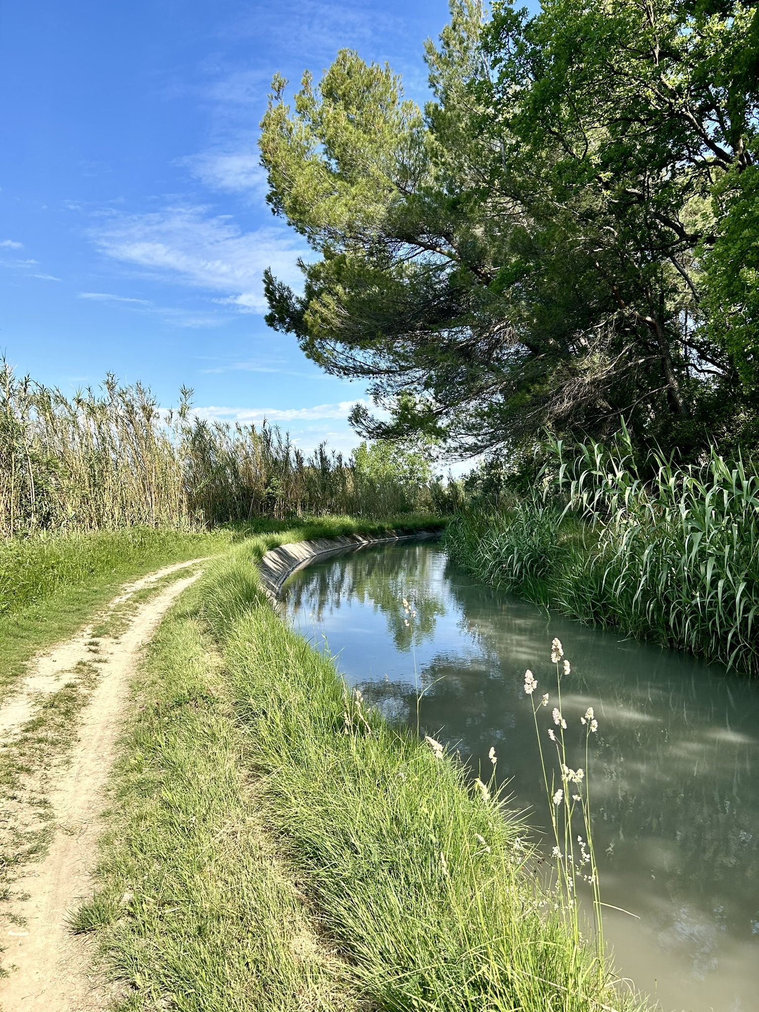 Am Canal de Carpentras