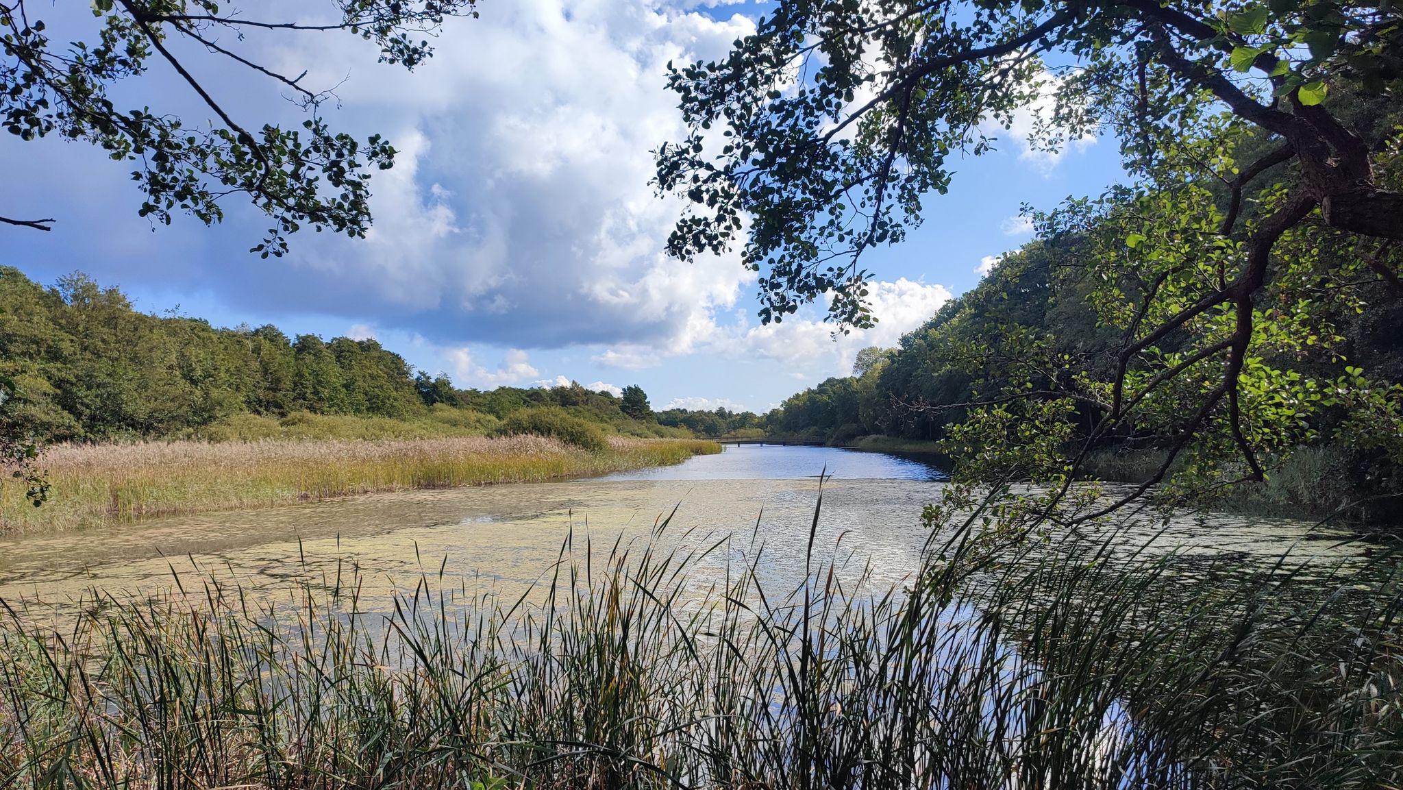 Blick auf den Prerowstrom