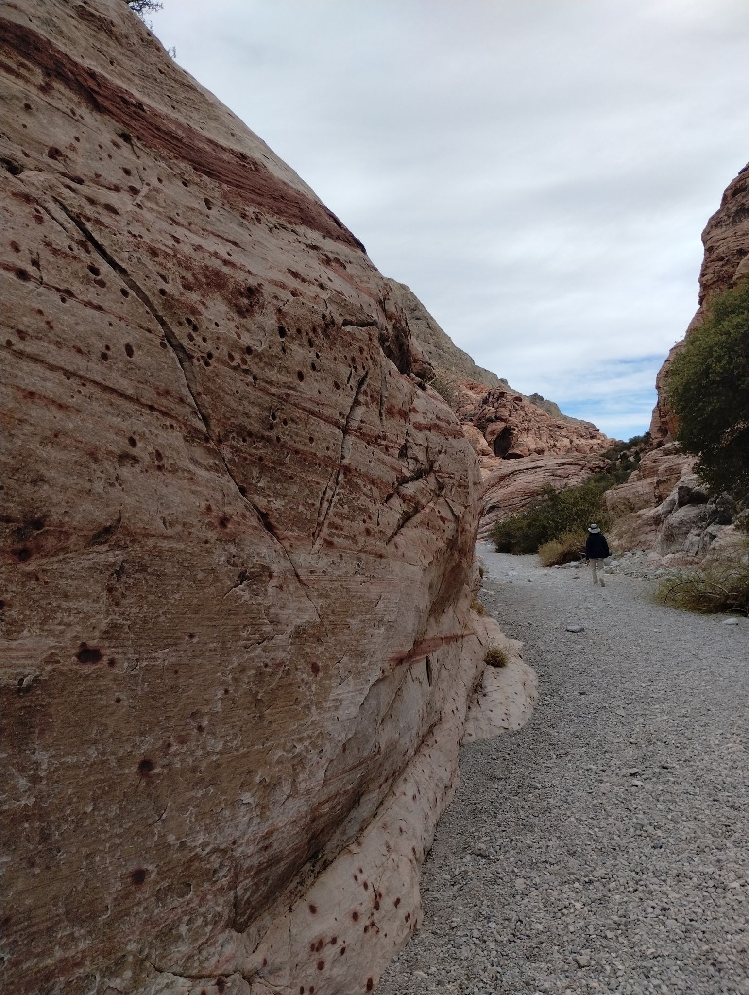 Striped rock wall next to a gravel path with a person walking. - Kraft Mountain Loop Trail