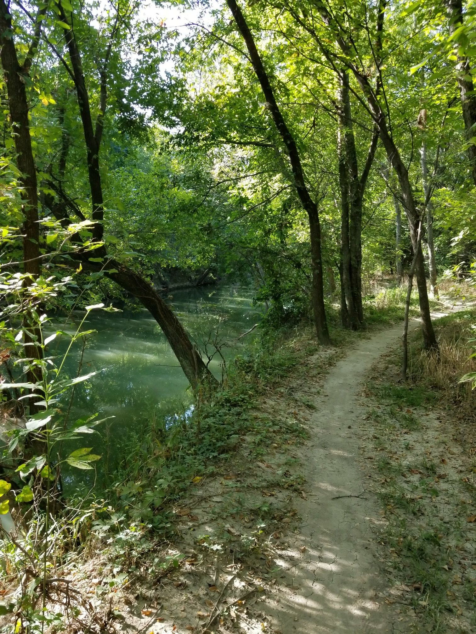 Dirt path winds beside a green river under dappled sunlight through trees. - Rowlett Creek Short Loop