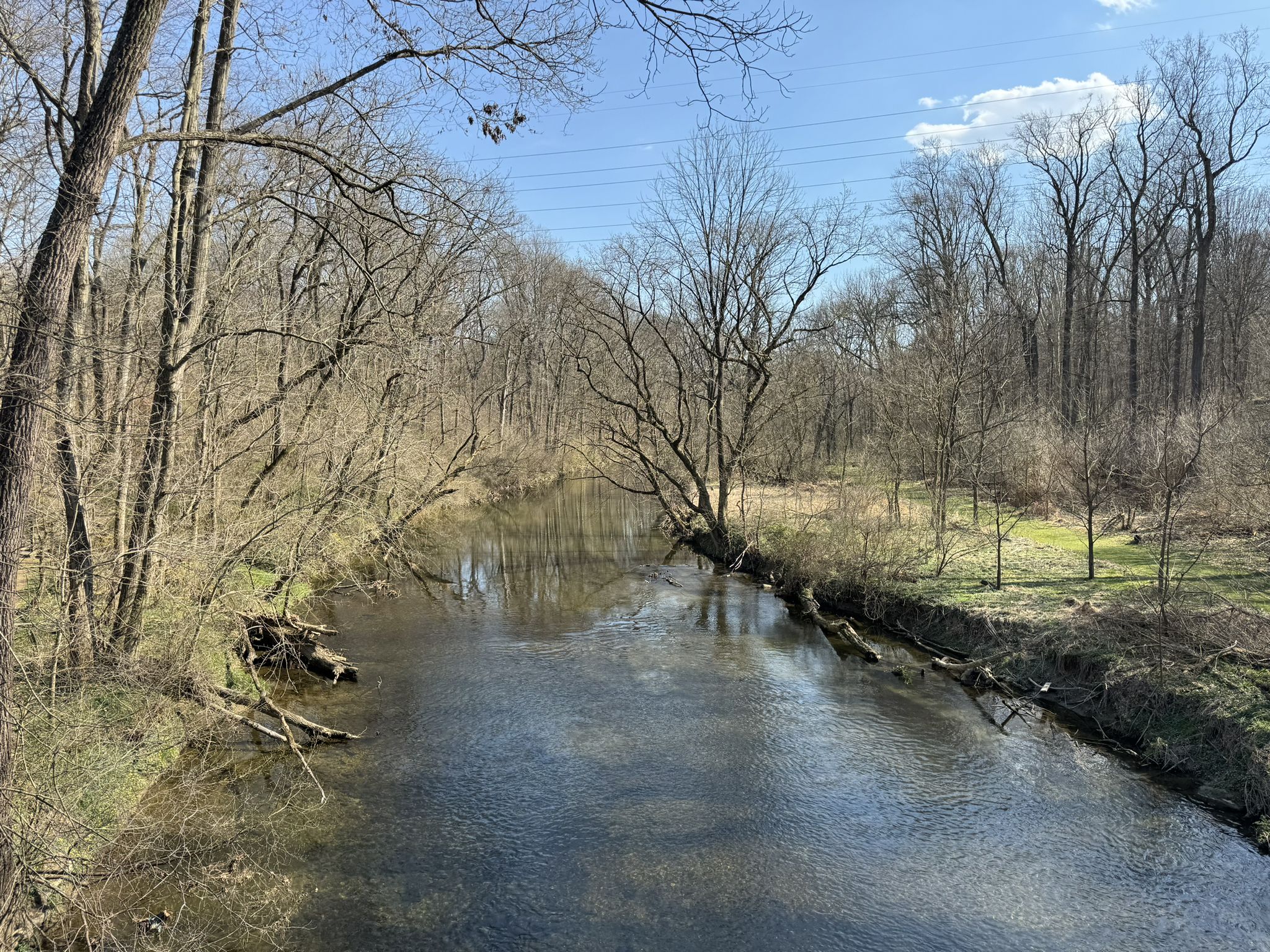 A wide river flows through a forest of bare trees under a blue sky. - Lancaster County Central Park Conestoga Loop