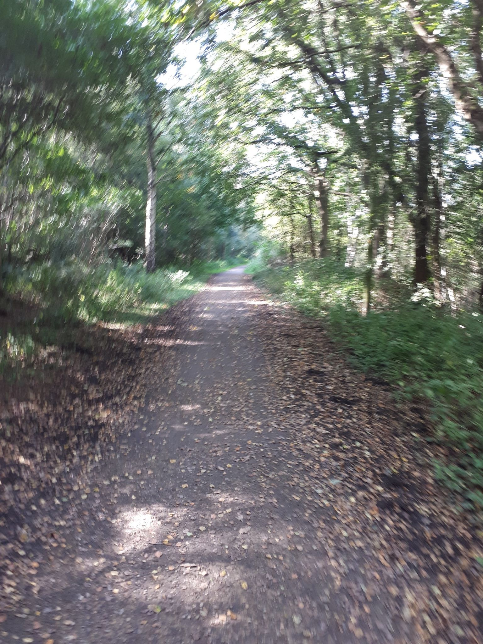 Whitegate  Way