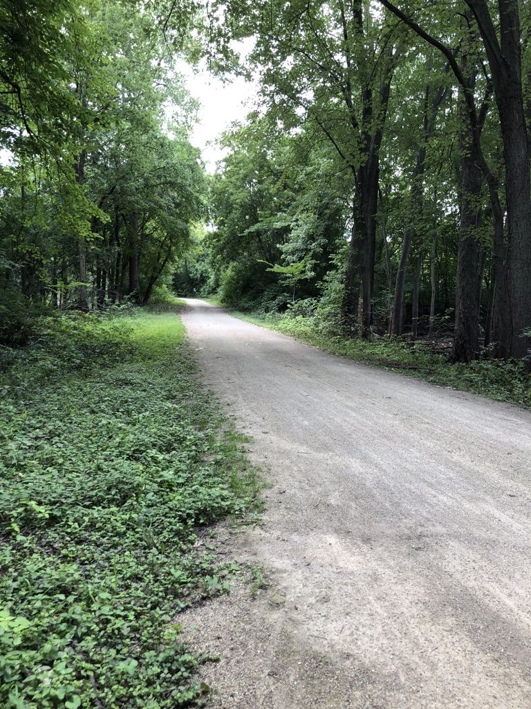 A wide dirt path leads through a dense, lush green forest on an overcast day. - Des Plaines River Trail – Half Day Forest Preserve Ponds loop from Riverwoods