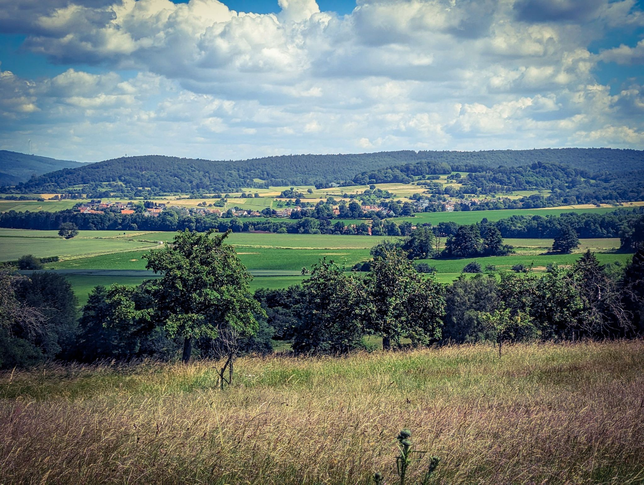 Linsengericht 3 - Geislitz