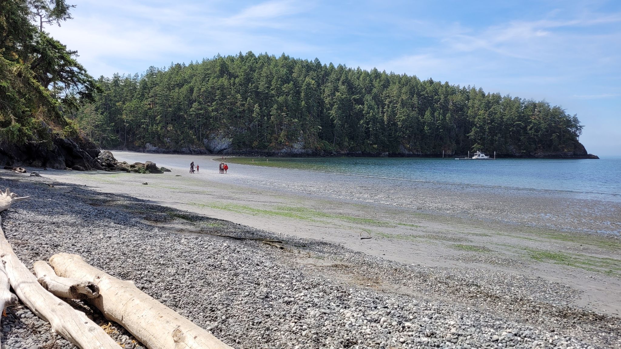 People on a wide pebbly beach with driftwood, backed by a dense forest. - Rosario Head and Lighthouse Point Loop